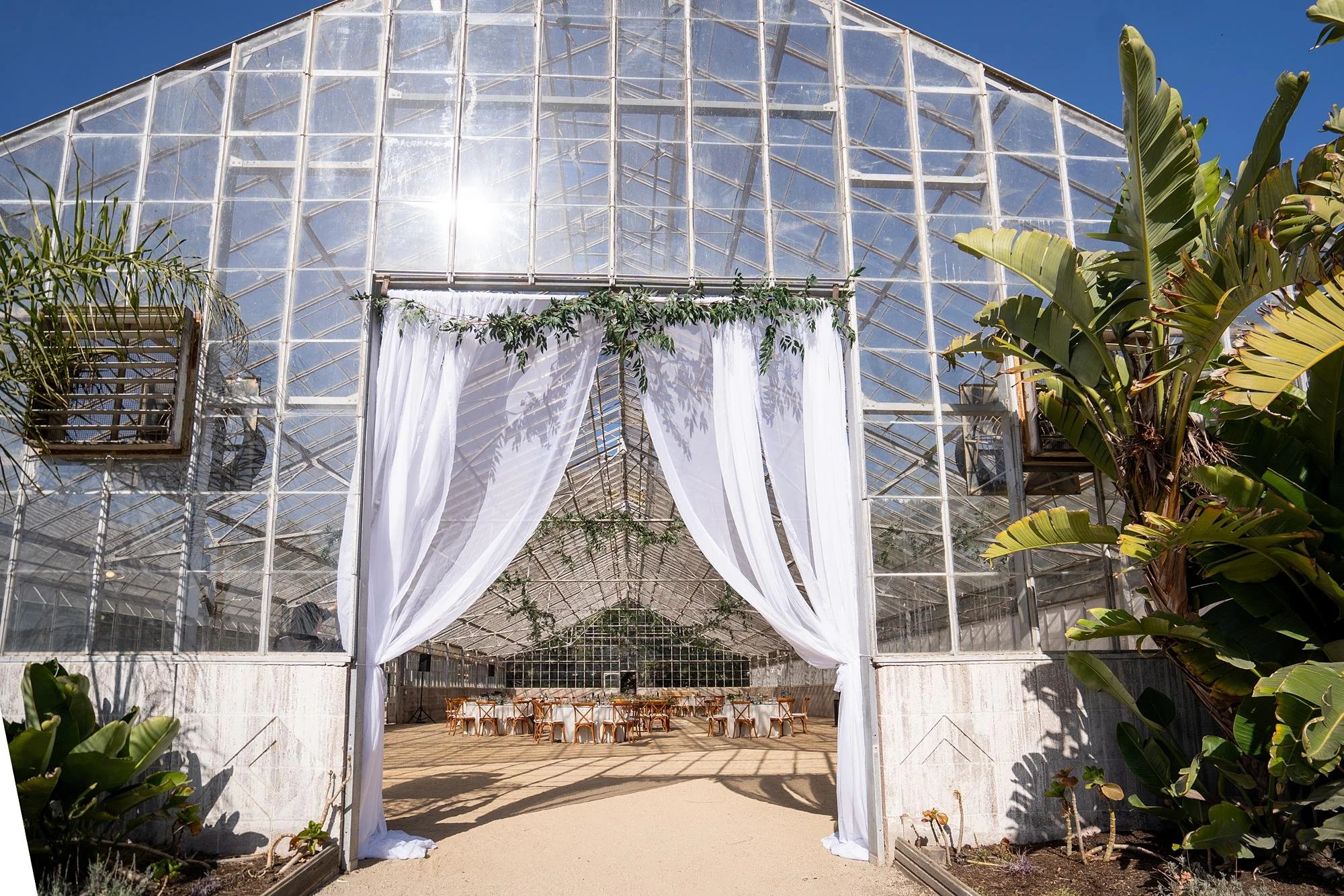 Wedding reception visible through the greenhouse entrance at Dos Pueblos Orchid Farm