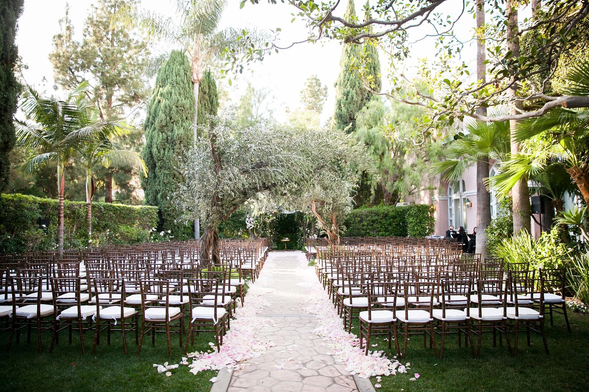Wedding ceremony in the Beverly Hills Hotel Crystal Garden with a olive trees arching over aisle