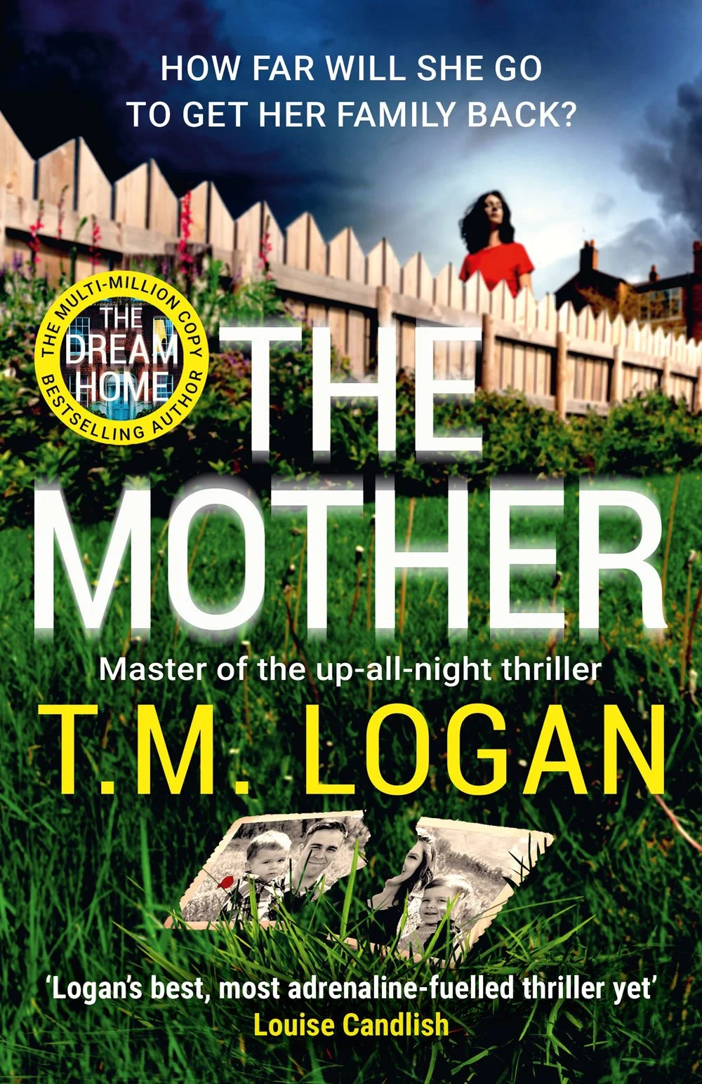 The Mother by TM Logan (Copy)