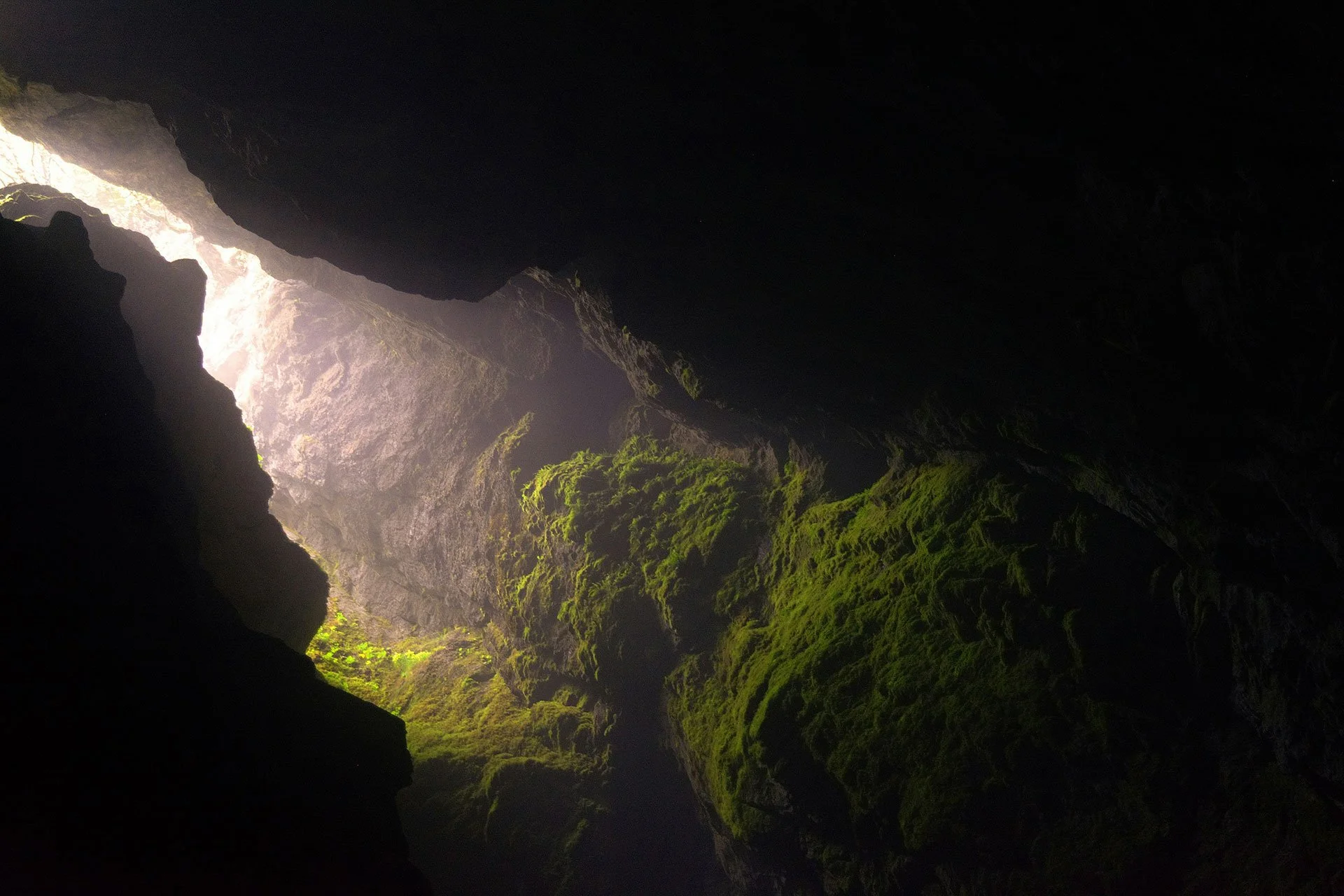 The-Weekend-Cave.jpg