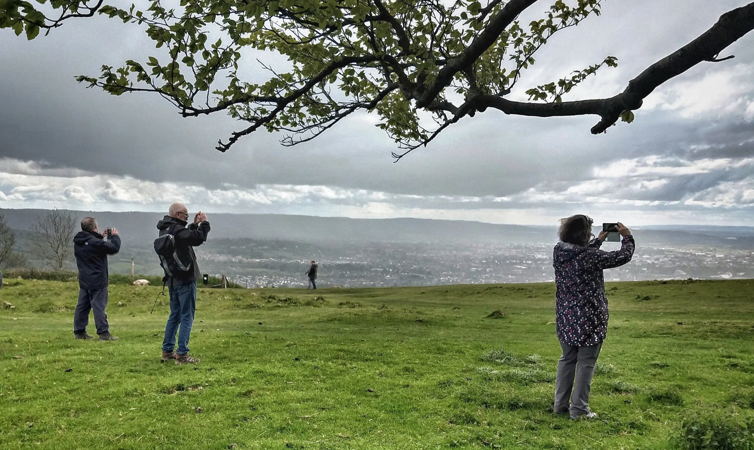 Mindful photography walk on Cleeve Common