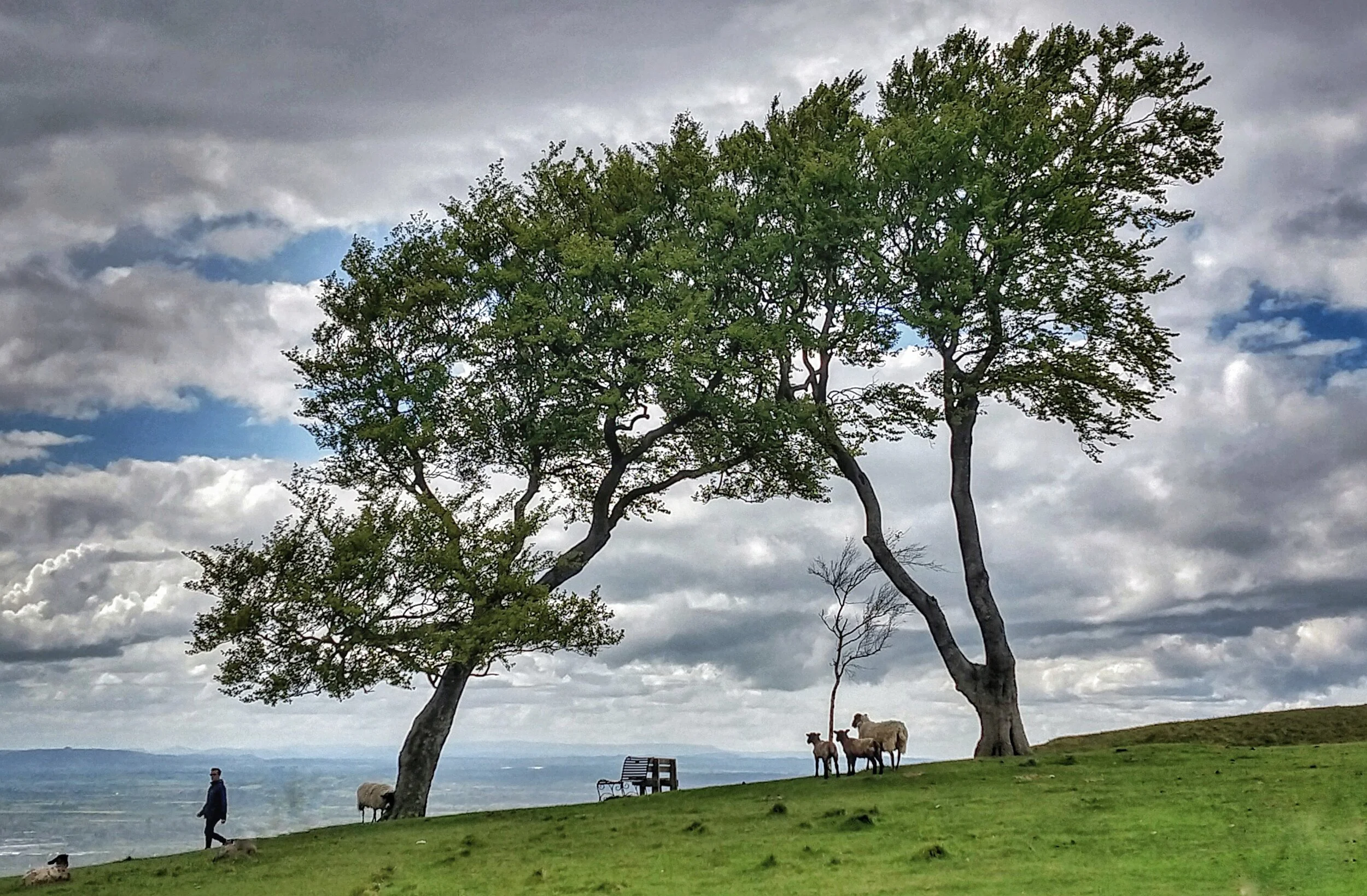 Mindful photography walk on Cleeve Common