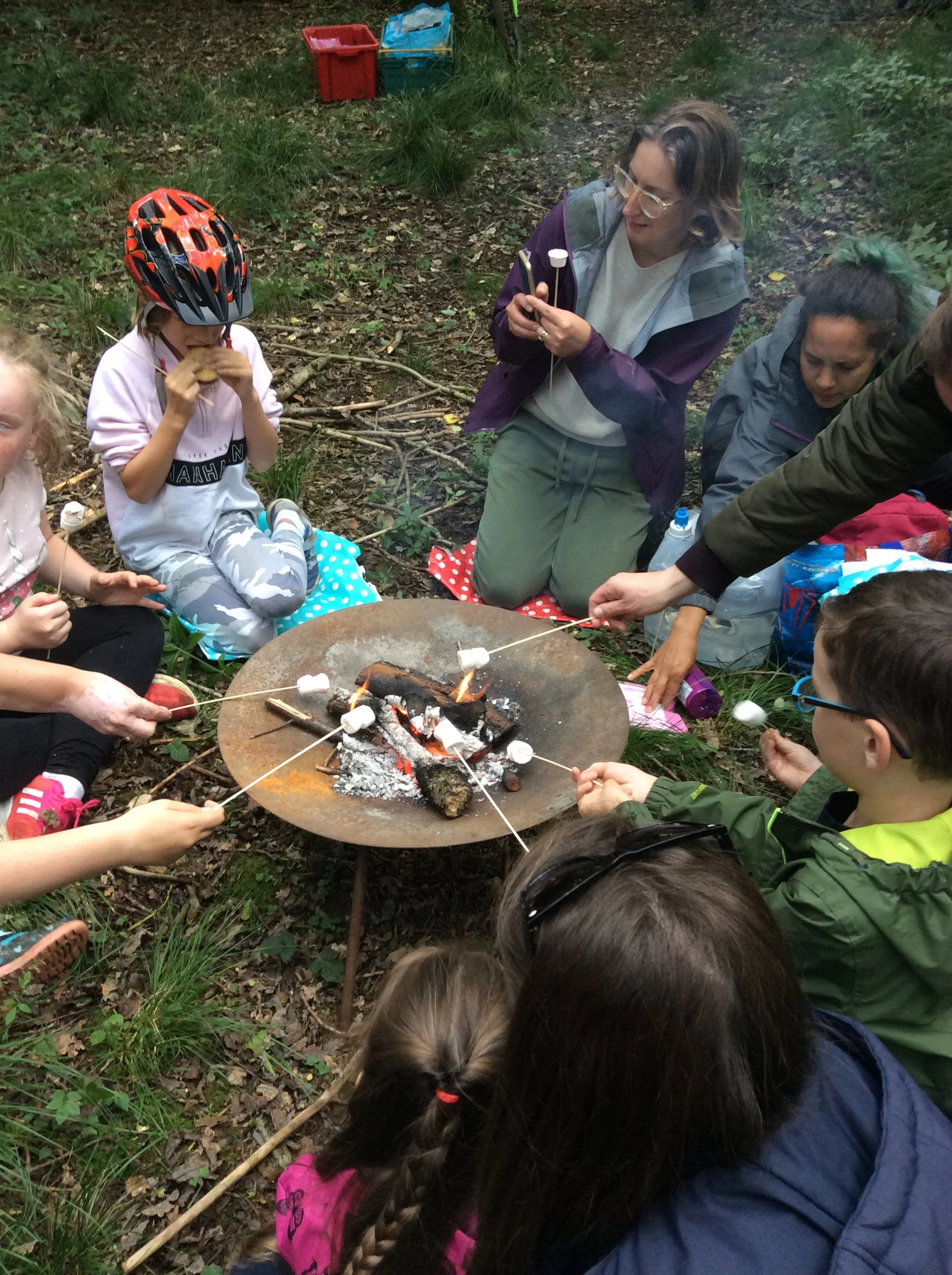 Family Fun Friday - Wardens Wood Mini-beasts &amp; Bushcraft