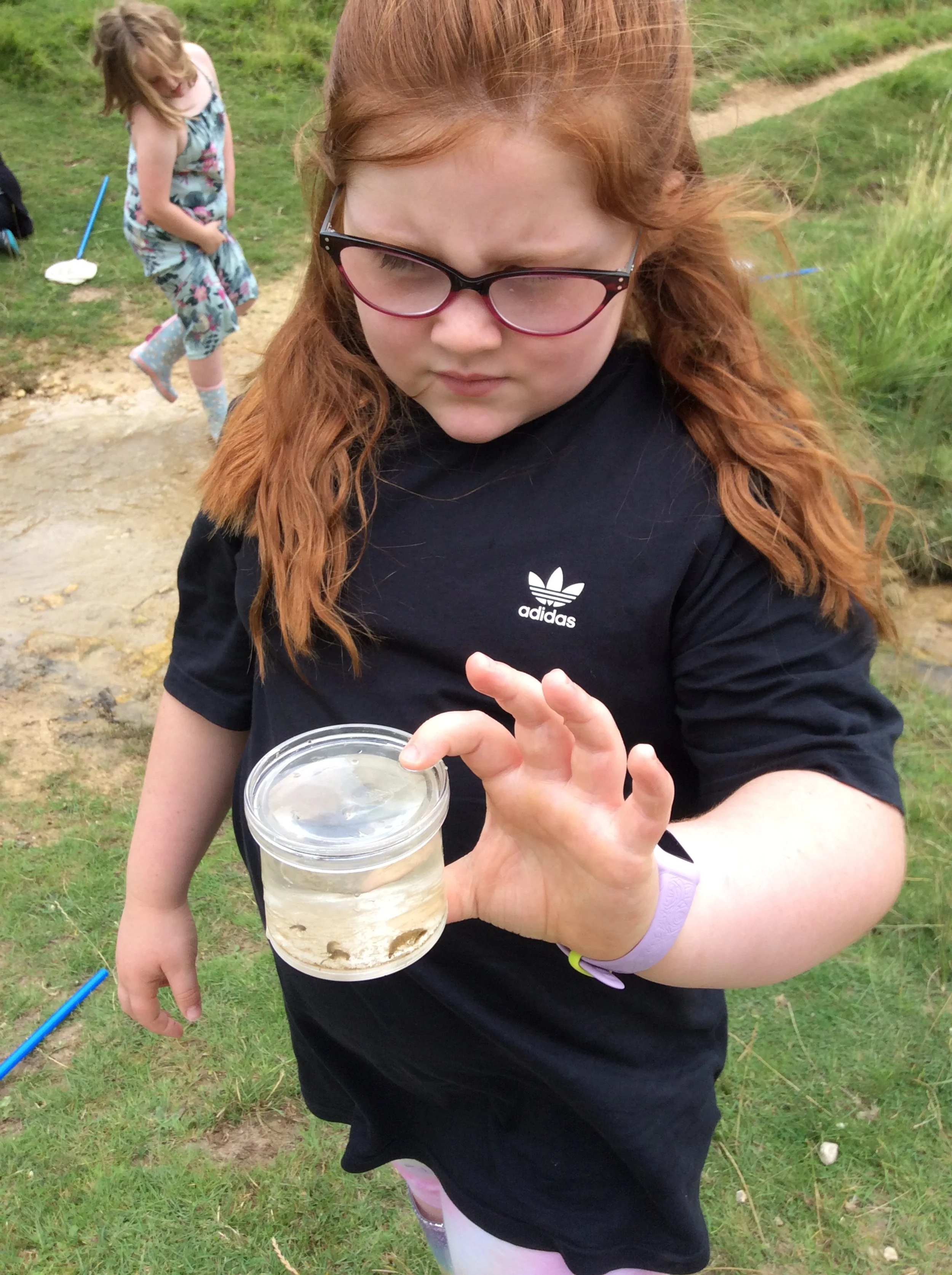 Family Fun Friday - Stream dipping (&amp; raft racing)