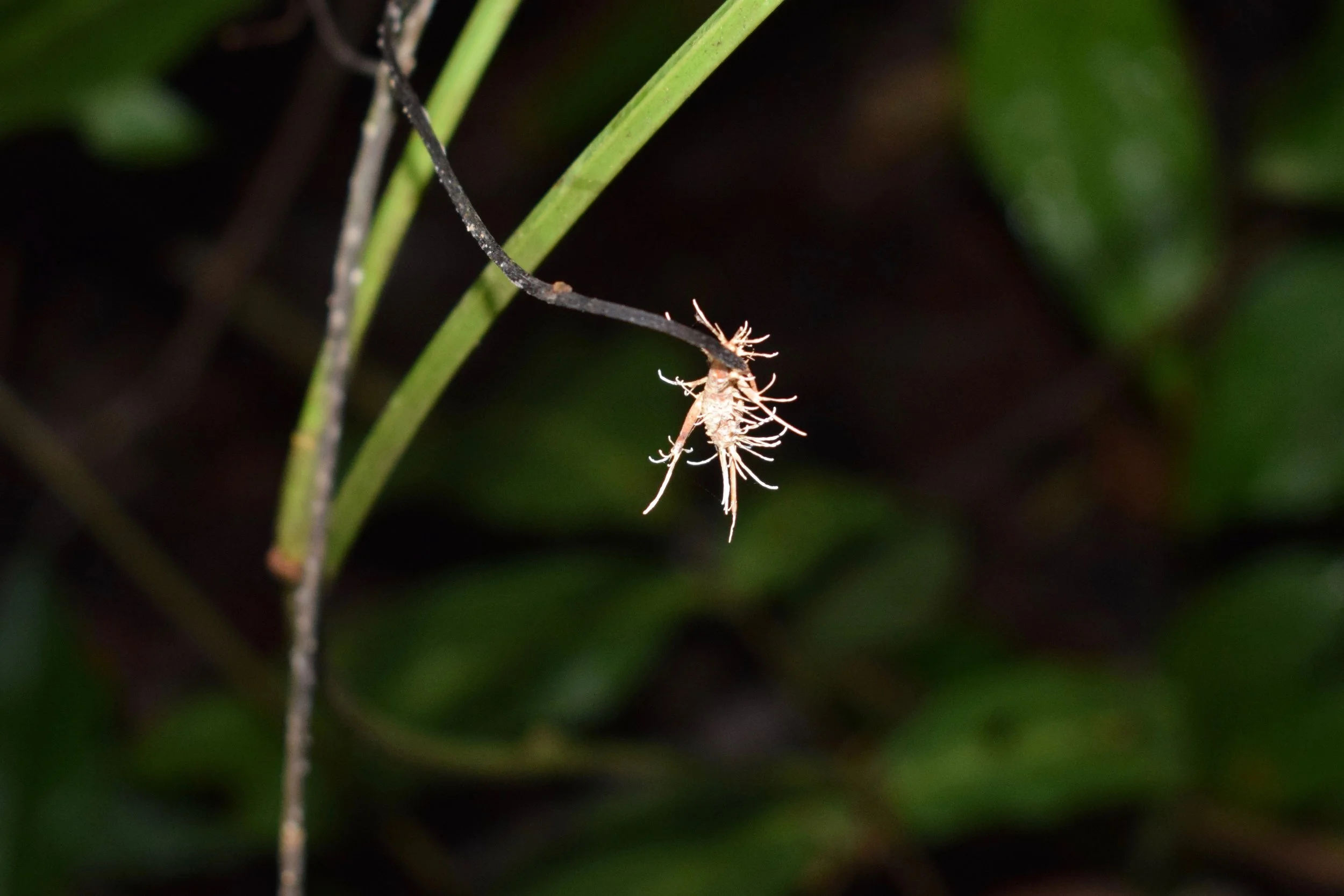 DSC_0257.jpg