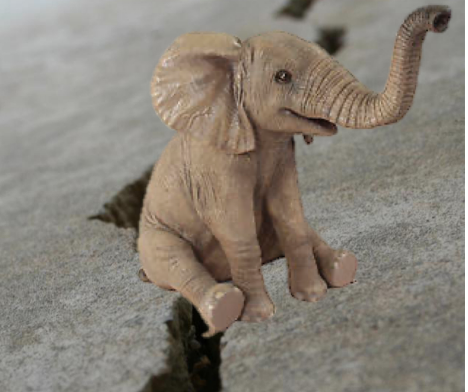 Six Startup Secrets We’ve Shared on Podcasts