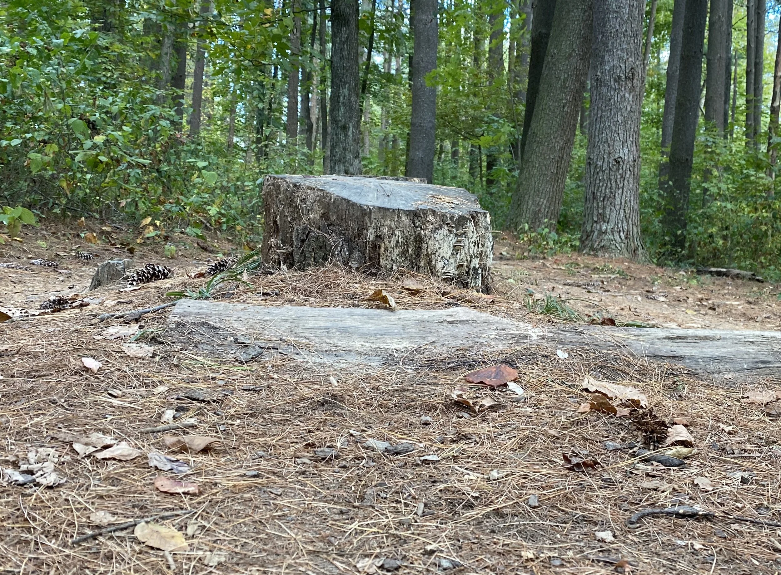 How To De-Risk Your Startup