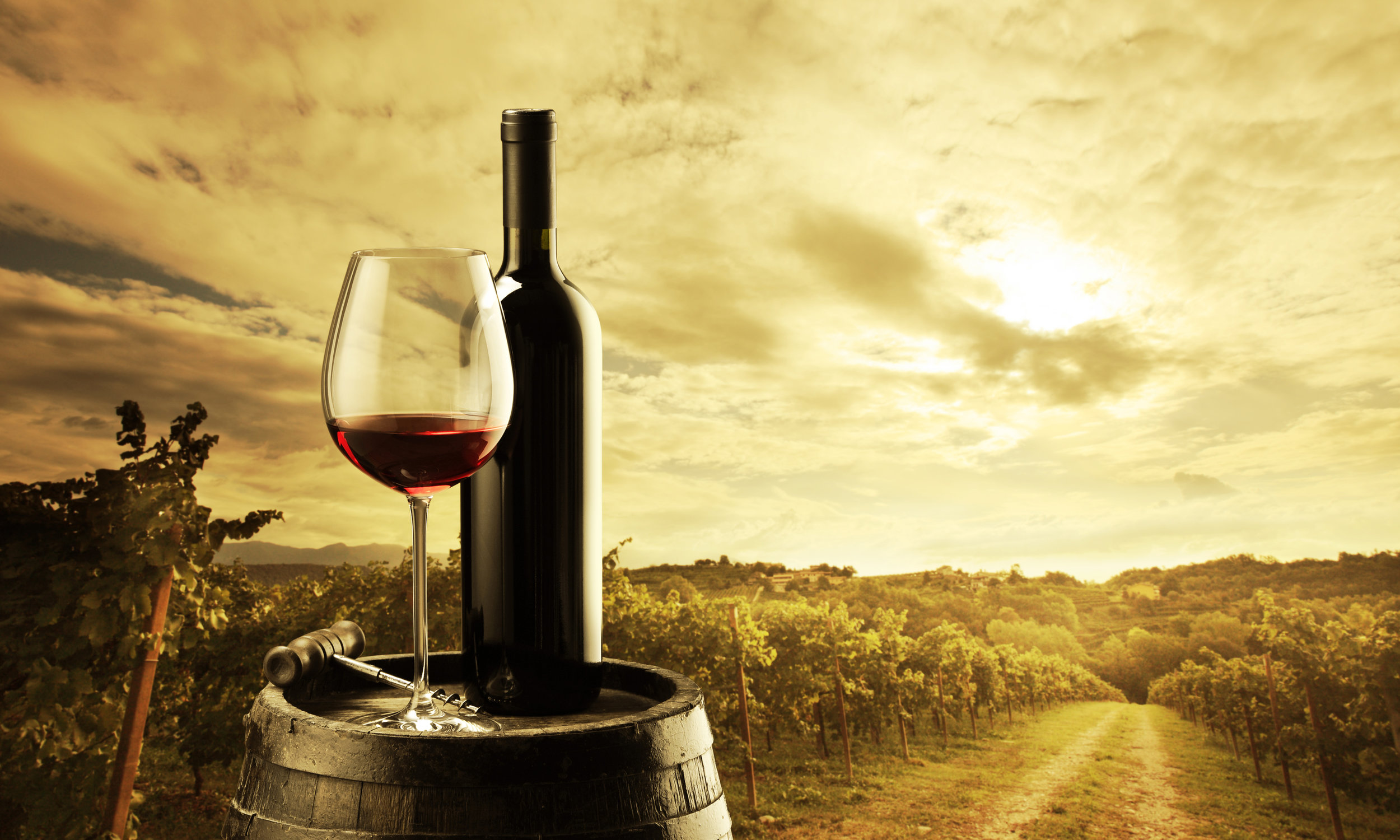 Winery, Golan Heights, Israel