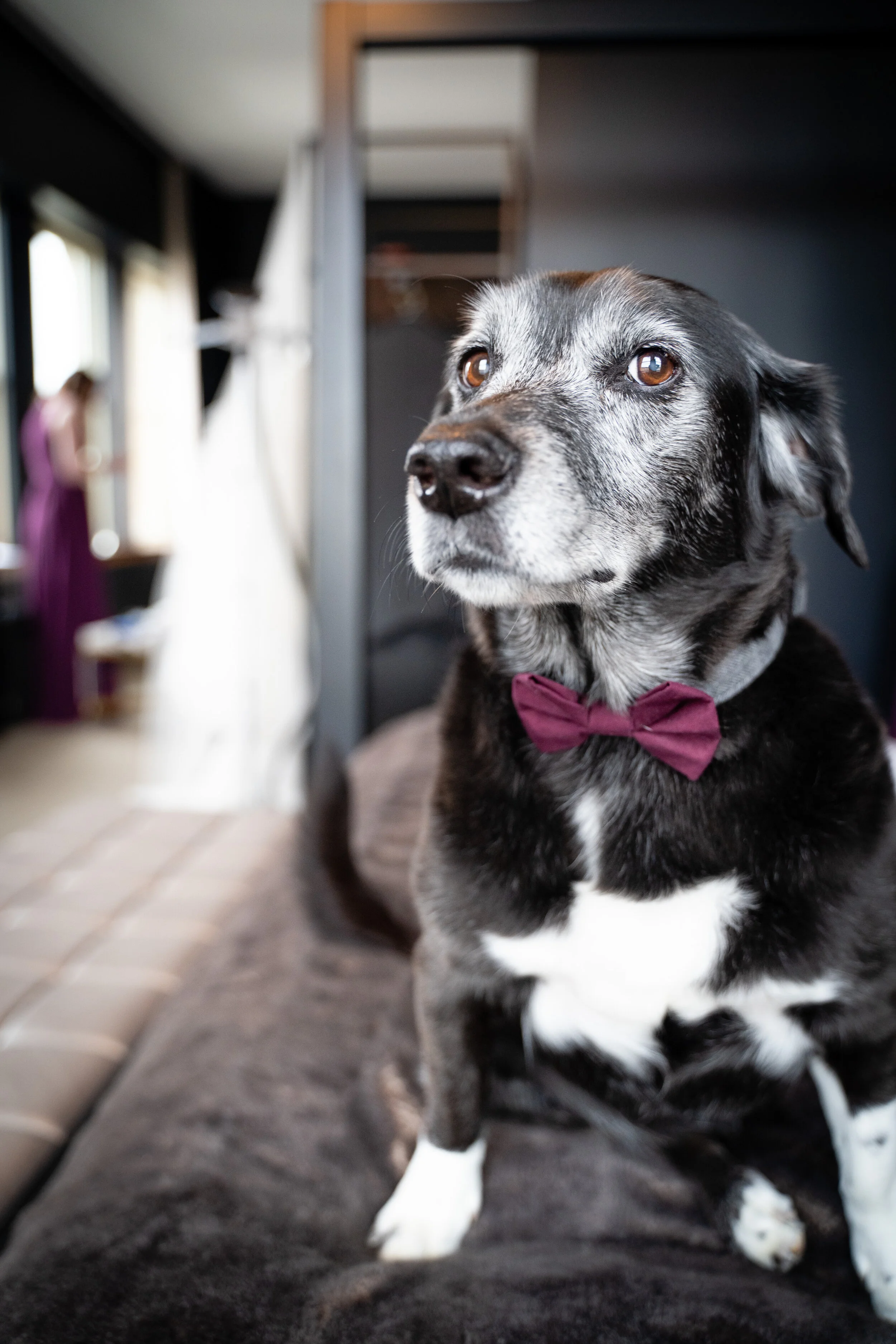 Hannah & Philip September 6,2019-4.JPG