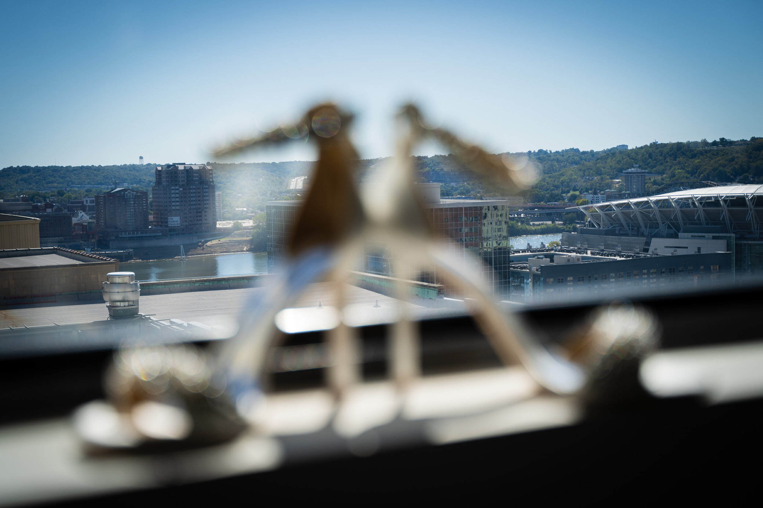 Lauren & Thomas October 5, 2019-7.JPG