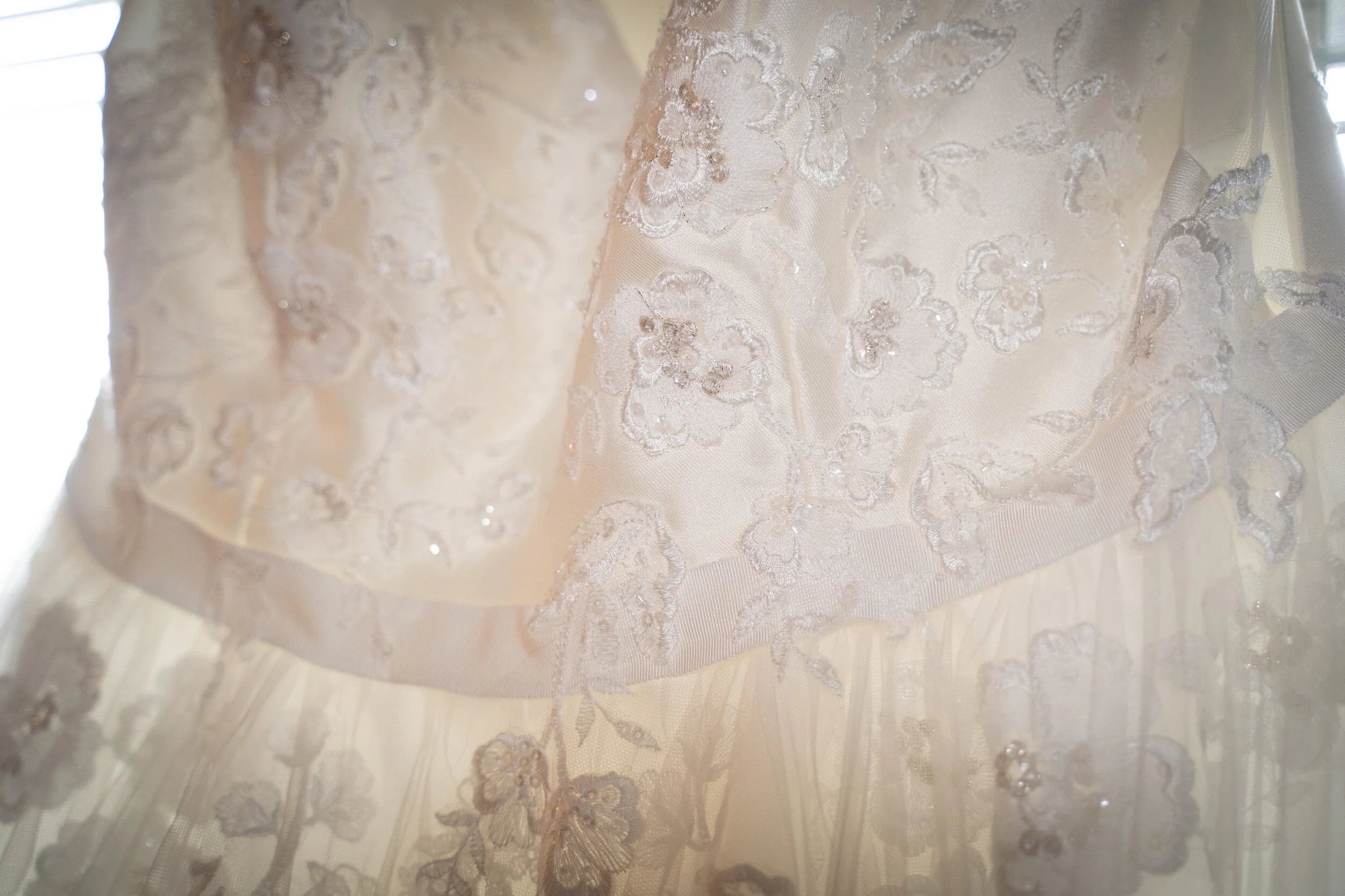 Payton & Brian November 2, 2019-13.JPG