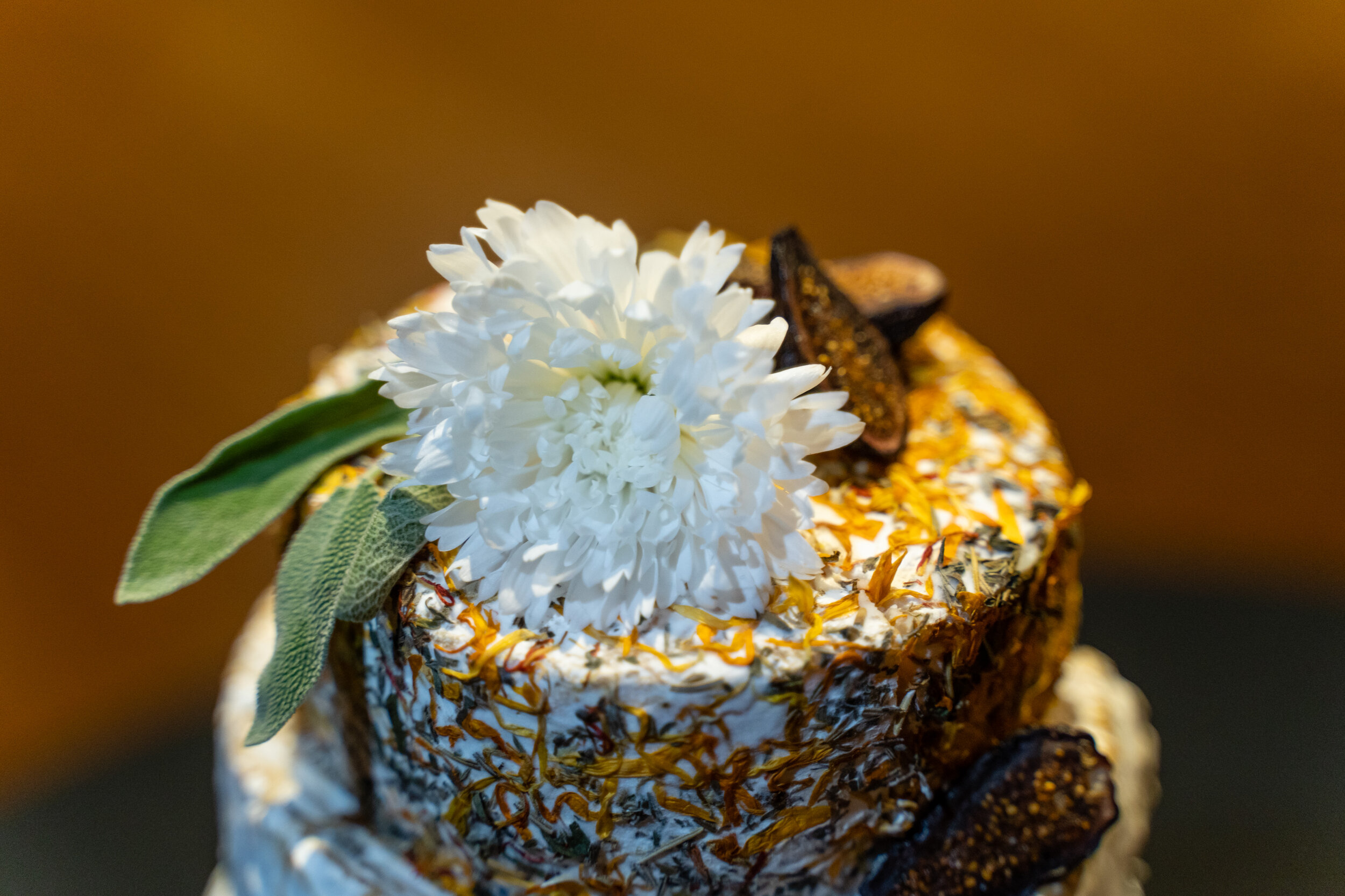 Rebecca & Chris December 30, 2019-160.JPG