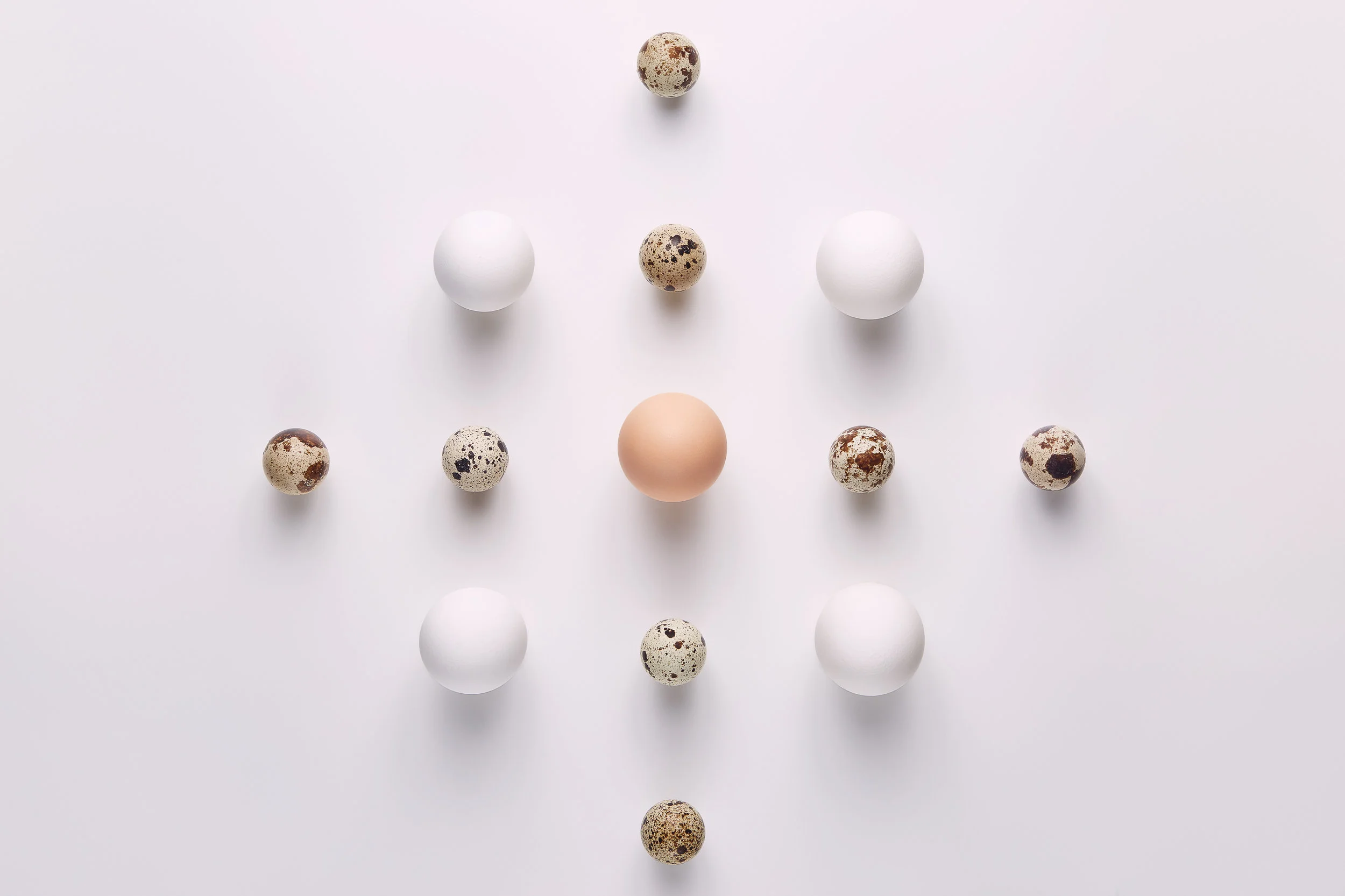 Food photography