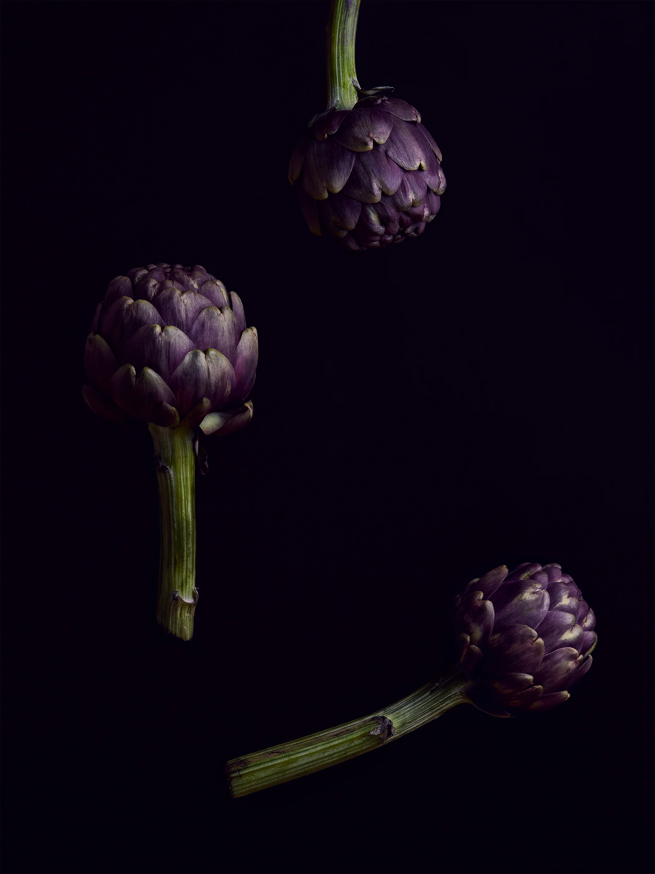 Carciofi_2017-03-060146-Edit.jpg
