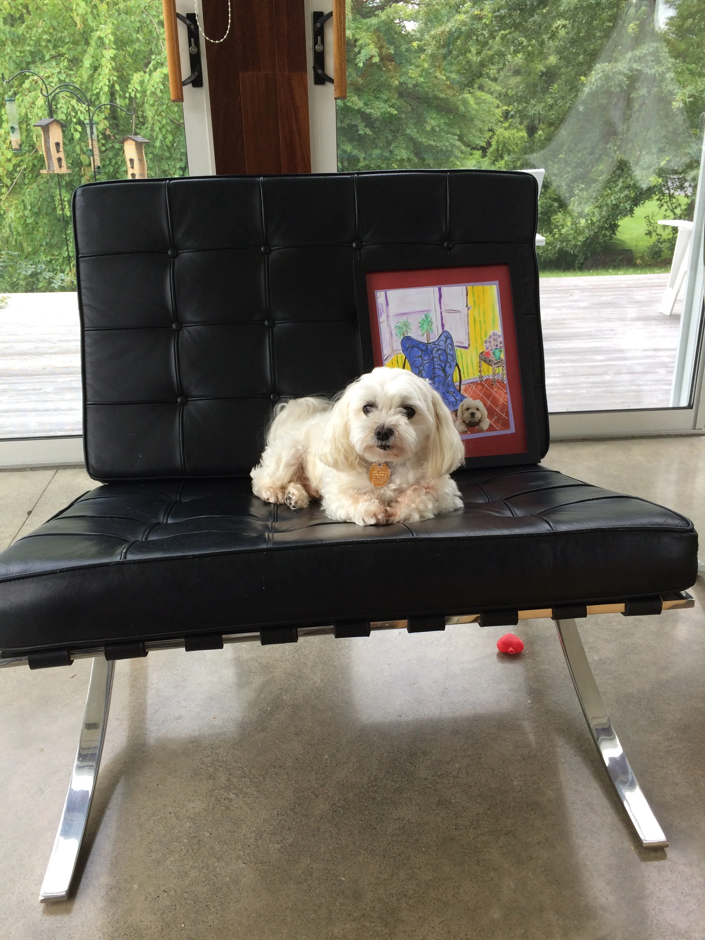 Mo With His Portrait