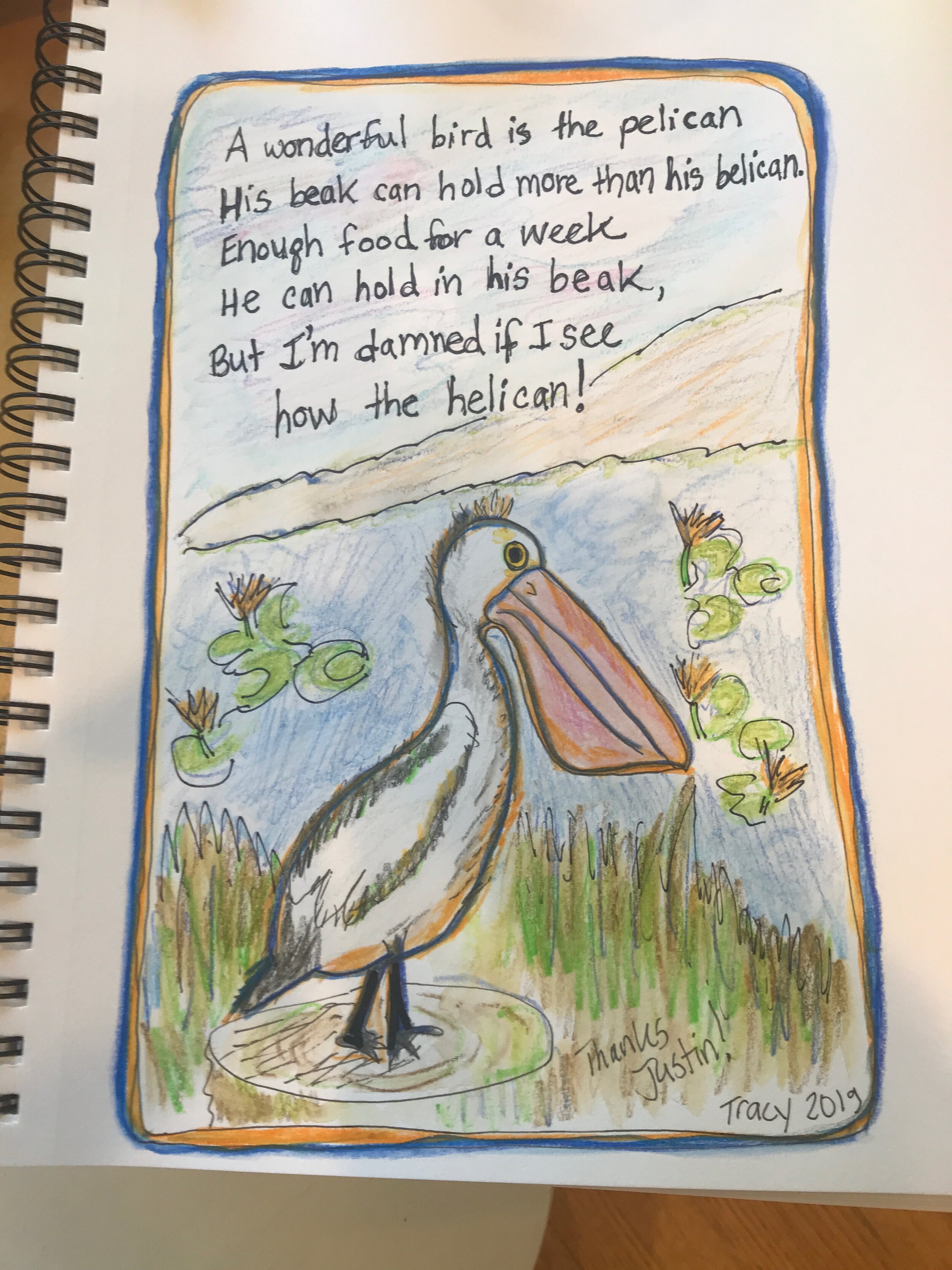 A wonderful bird is the pelican