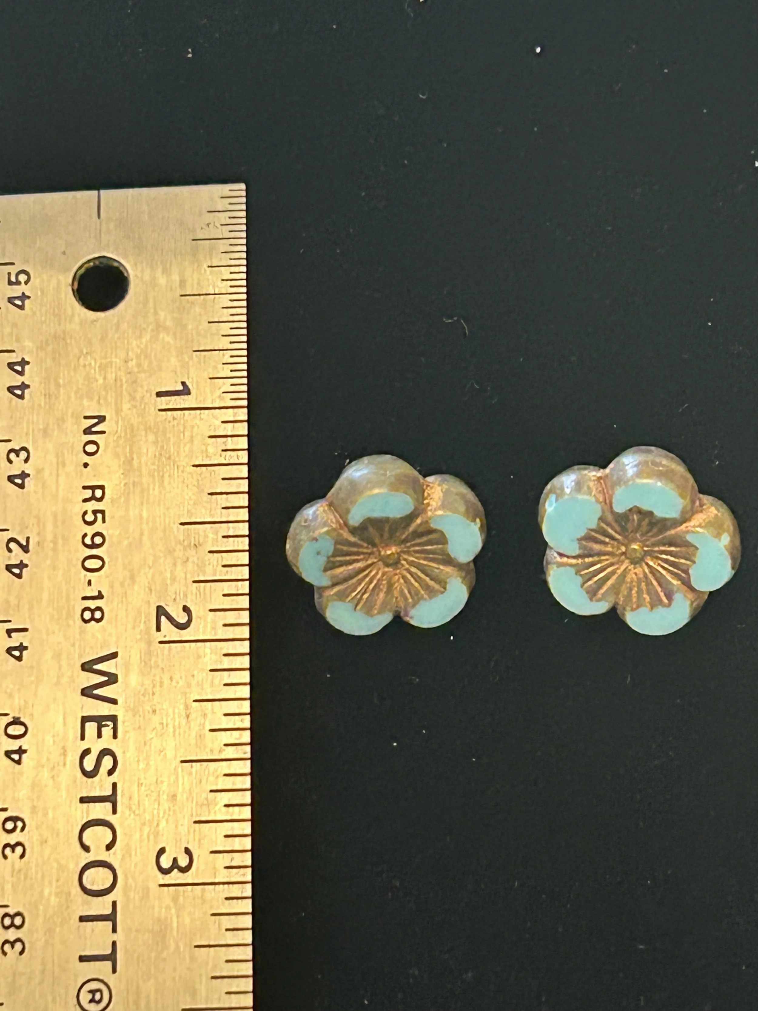 Turquoise Beauties Daisies $30