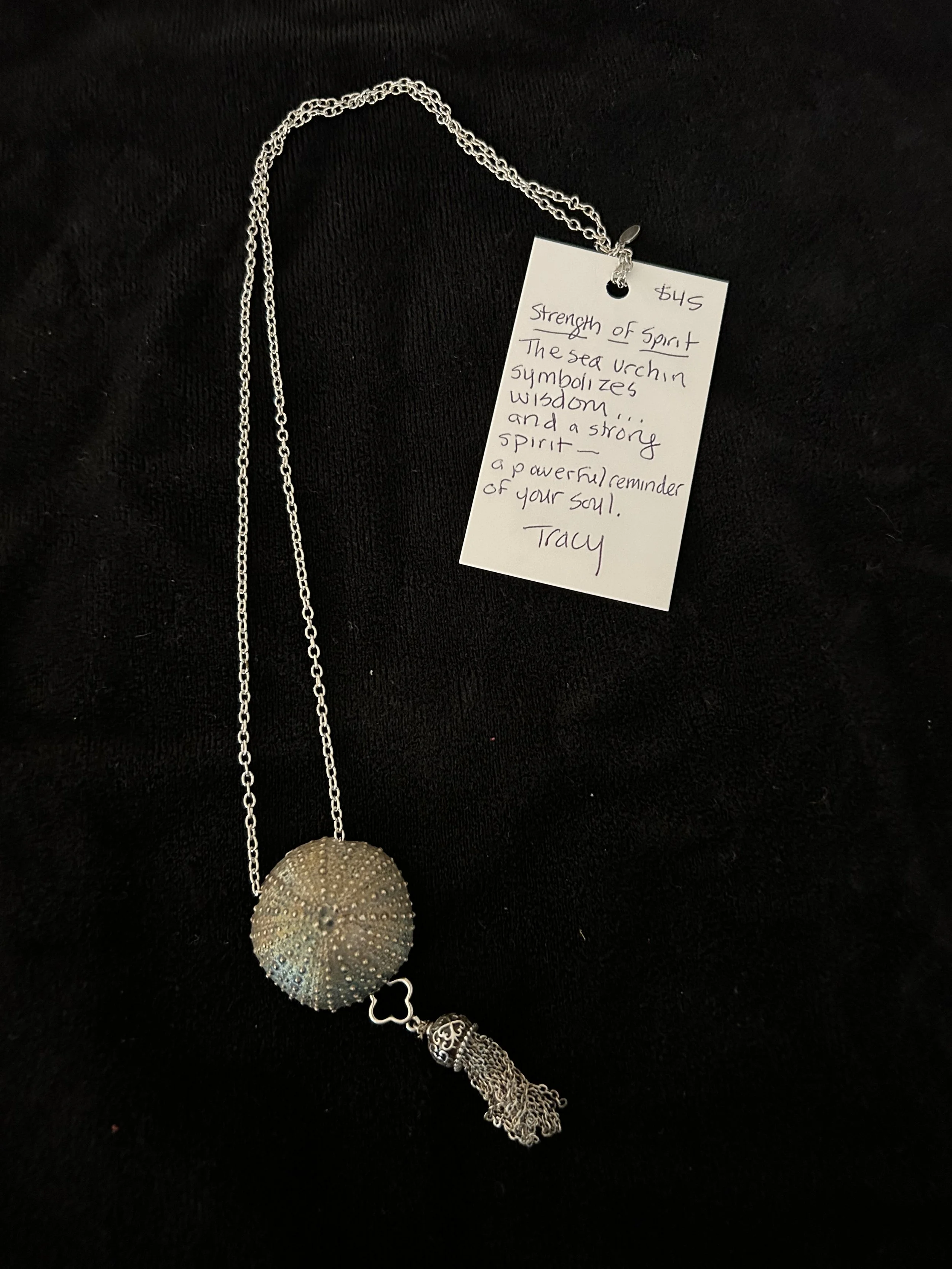 Strength of Spirit,  $45