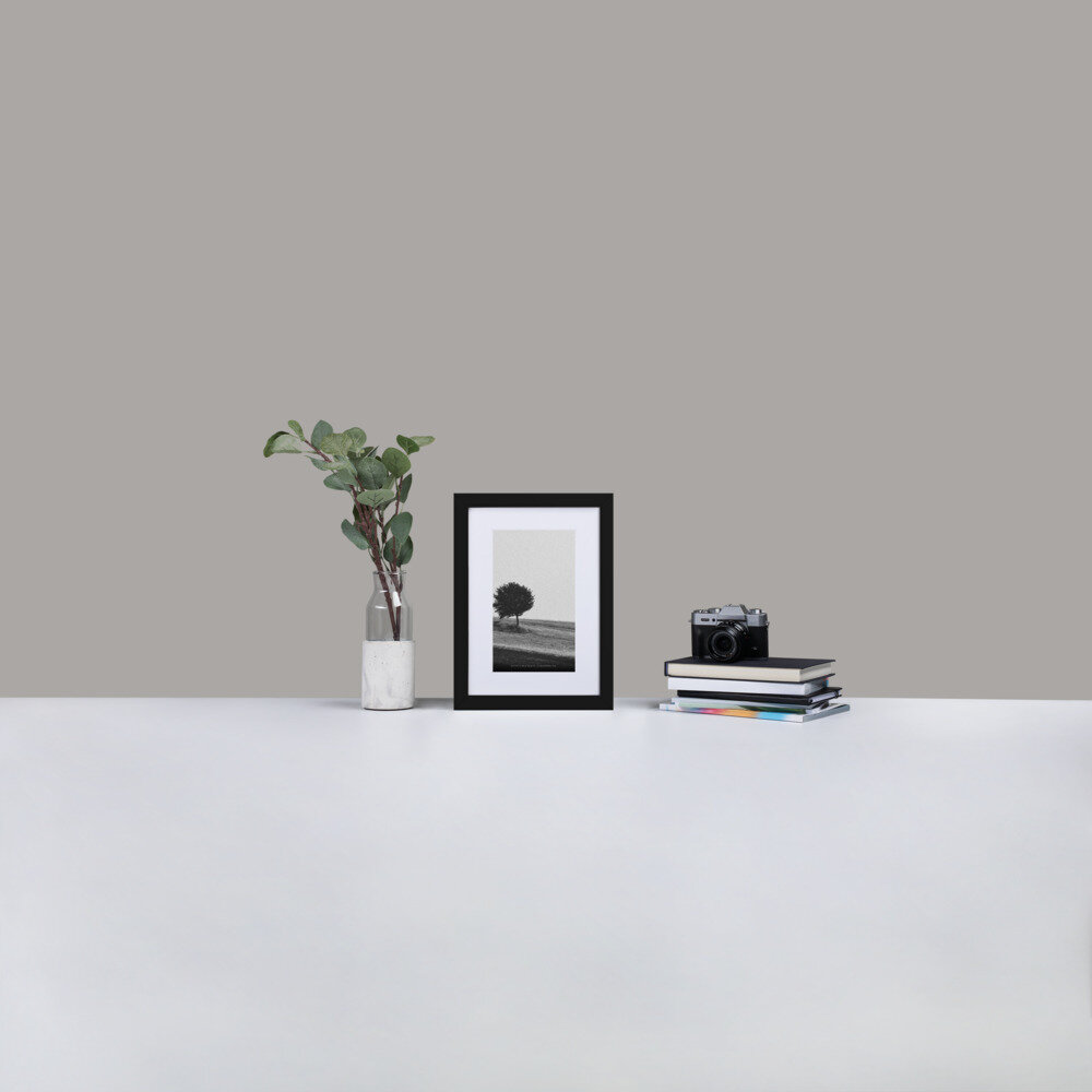 matte-paper-framed-poster-with-mat-(cm)-black-21x30-cm-5fd3e9e8e906d.jpg