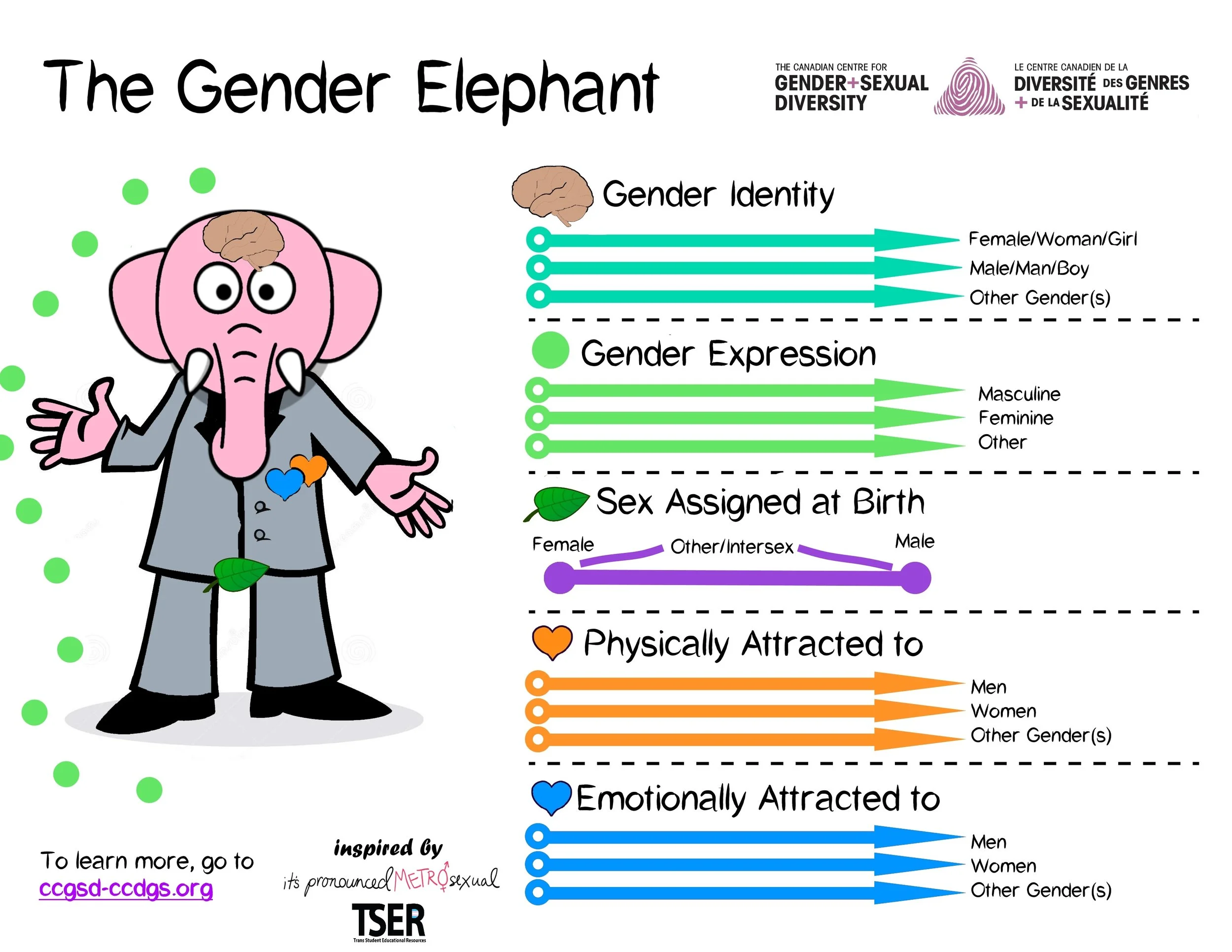 The Gender Elephant from CCGSD