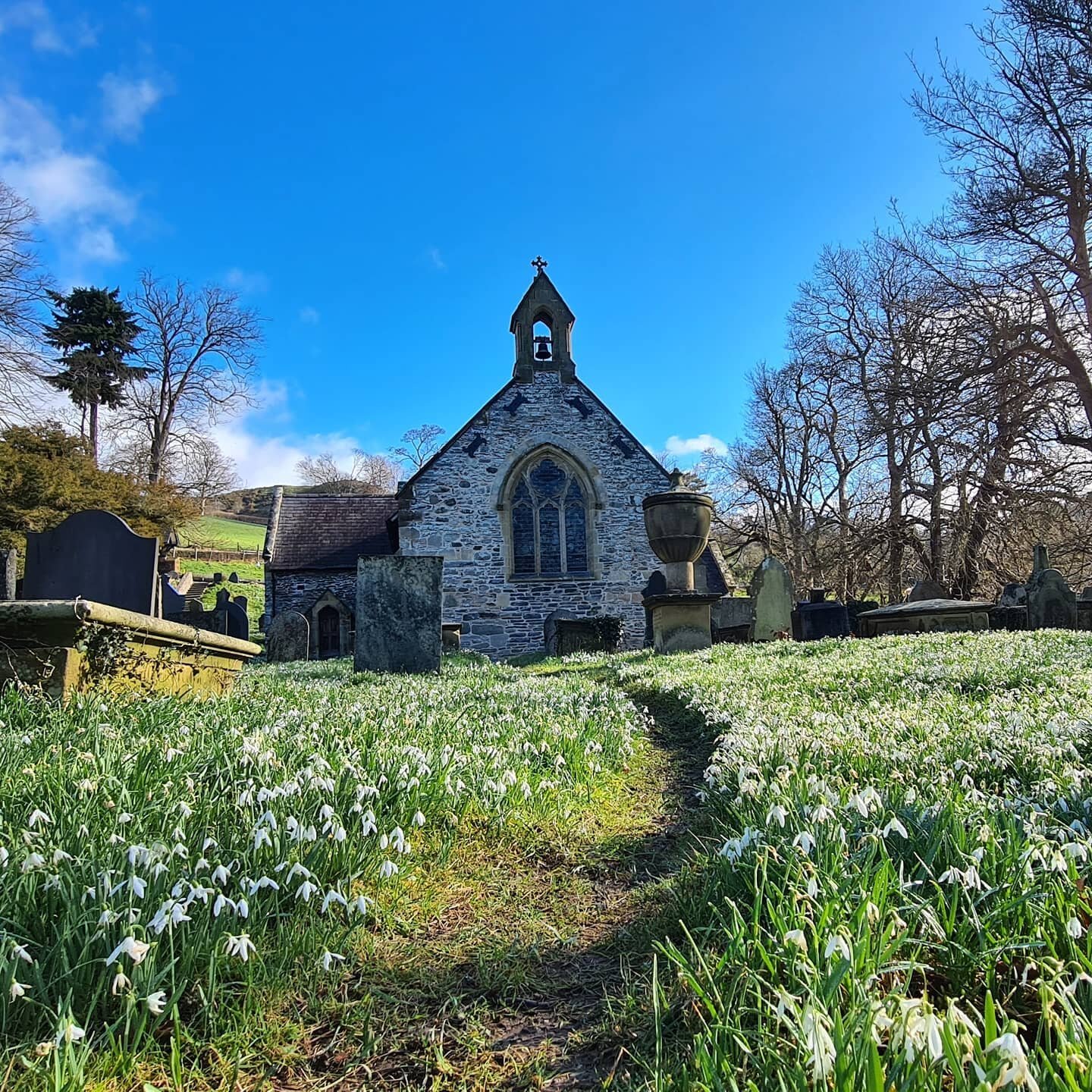 ❄ Blankets of Snowdrops &amp; a Snow Full Moon&nbsp;
⁣
Took mum to see them at Llantysillio Church this morning - an annual family ritual, walking through the graves reading all the old names and stories.&nbsp;⁣
⁣
I've definitely been watching too mu
