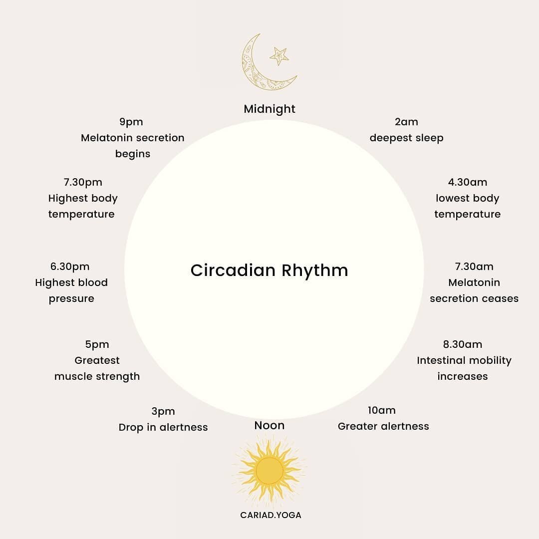 #SleepAwarenessWeek - learning to be more in tune with your natural rhythms and honouring your energy at different times of day.&nbsp;⁣⁣⁣ 
⁣⁣⁣ 
&quot;As human beings we follow a 24 hour cycle called the circadian rhythm which responds primarily to li