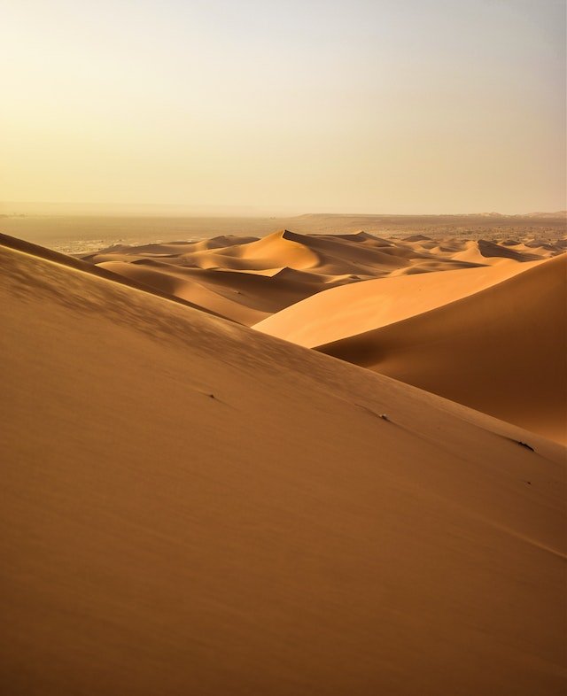 Sahara.jpeg