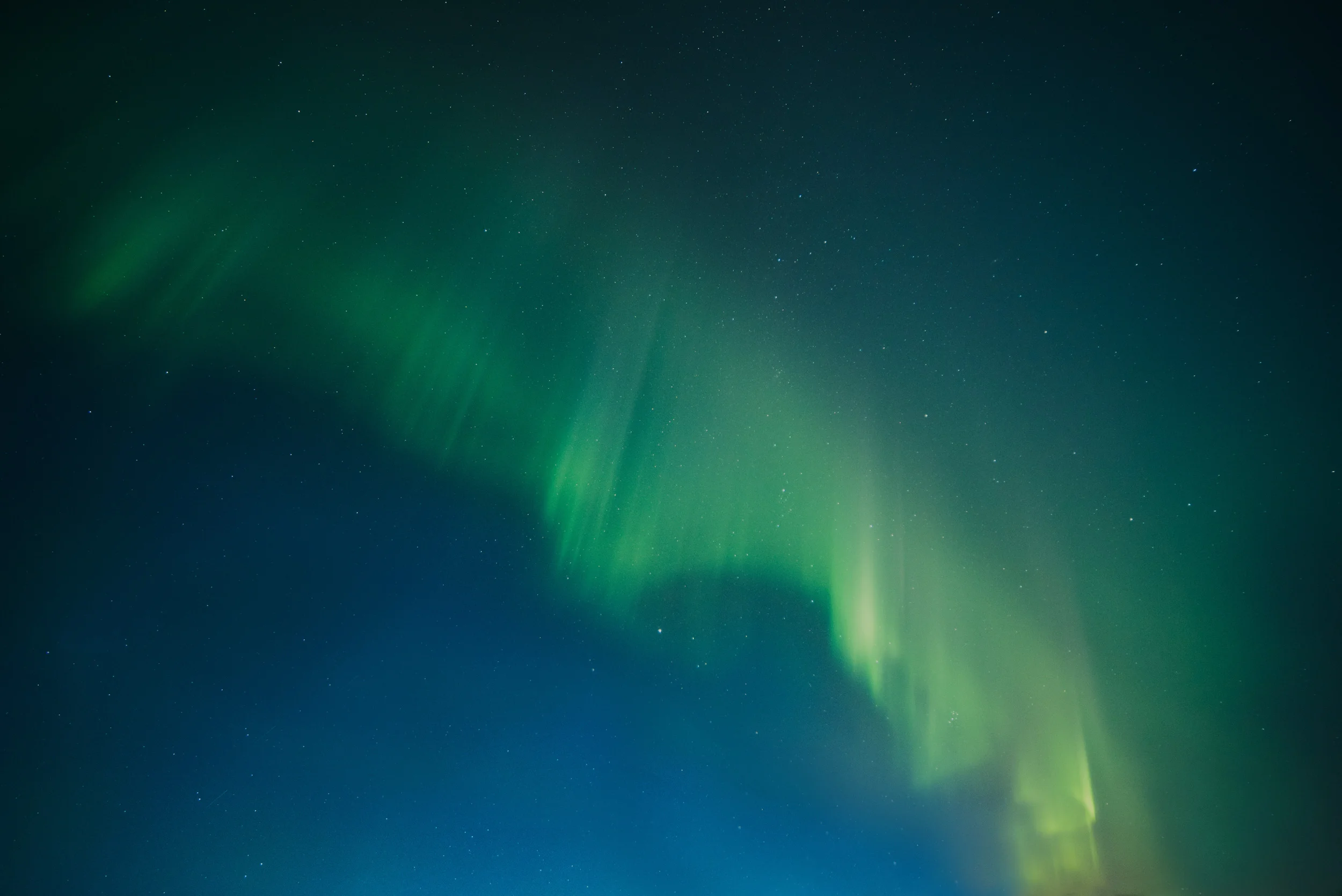 background-img.jpg