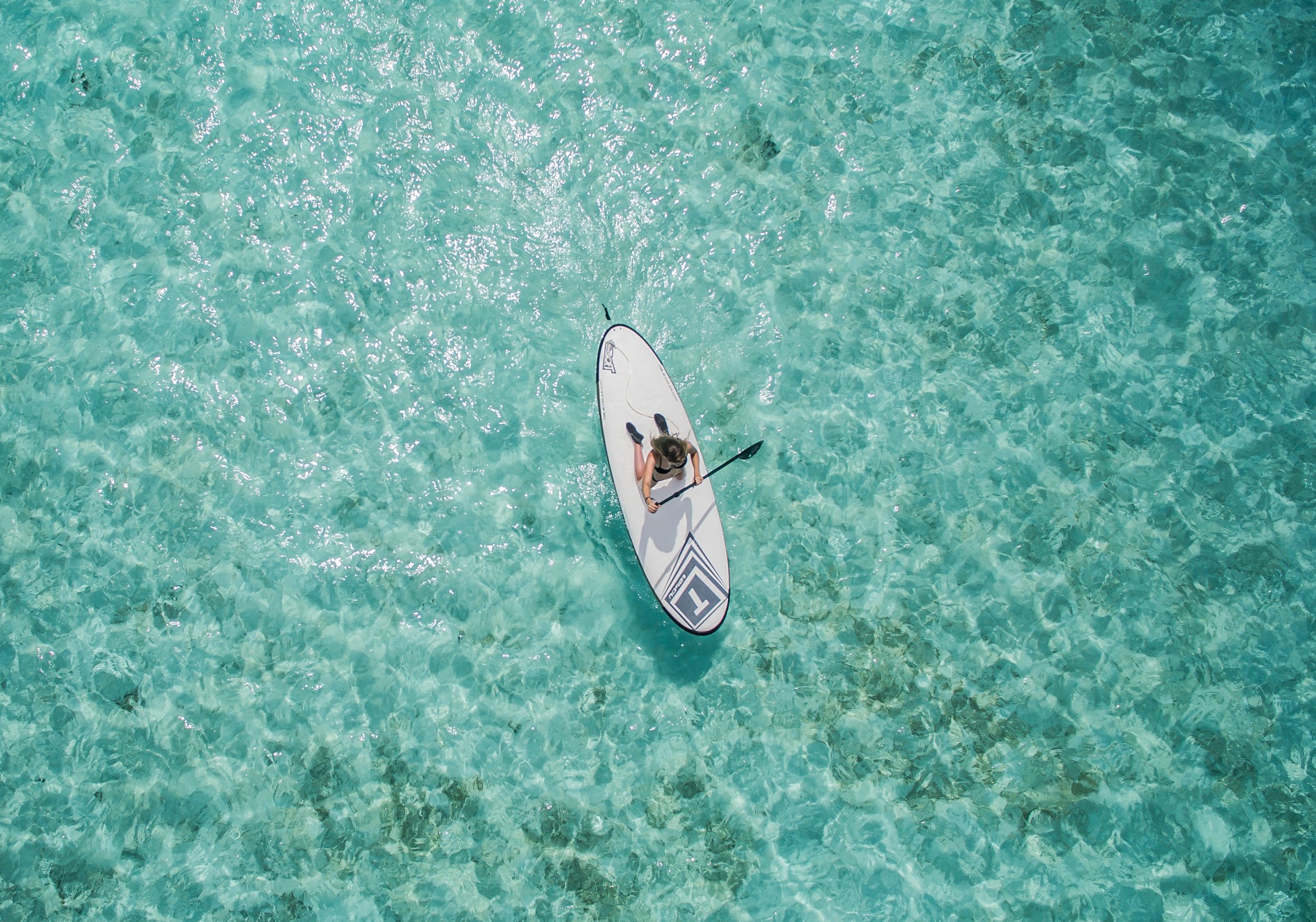 ishan-seefromthesky-192925-unsplash.jpg
