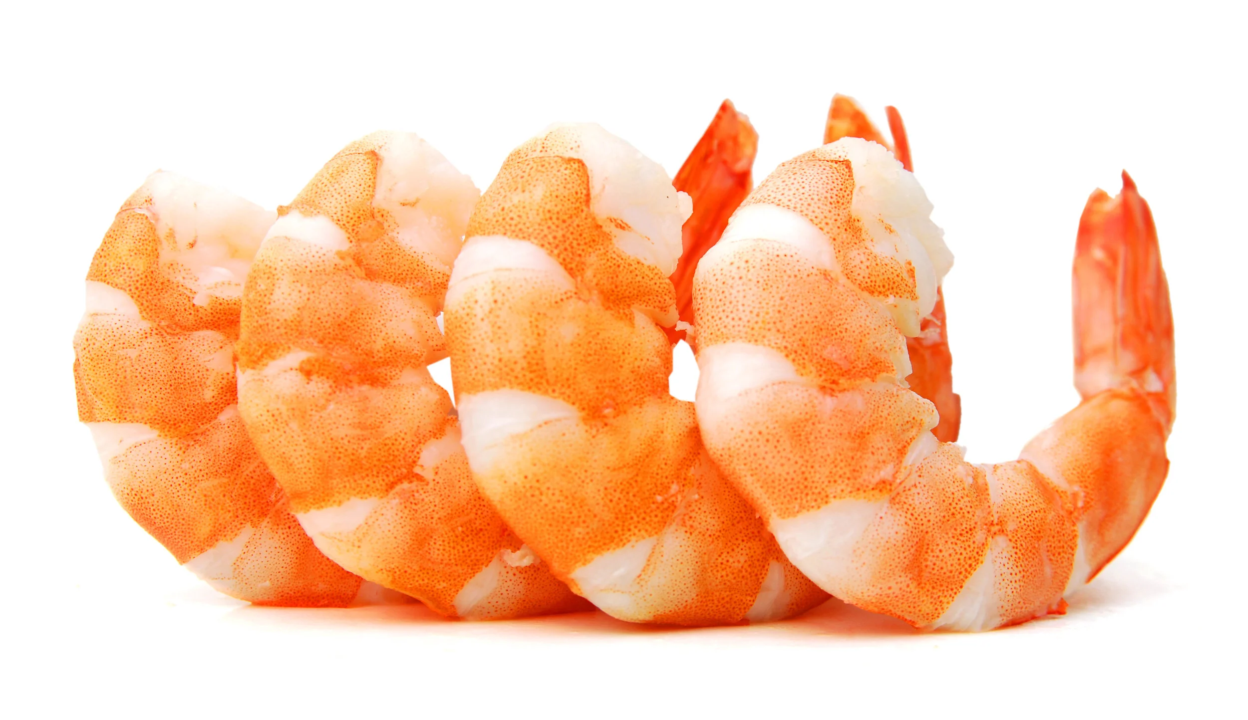 jumboshrimp_skinnyfat.jpg