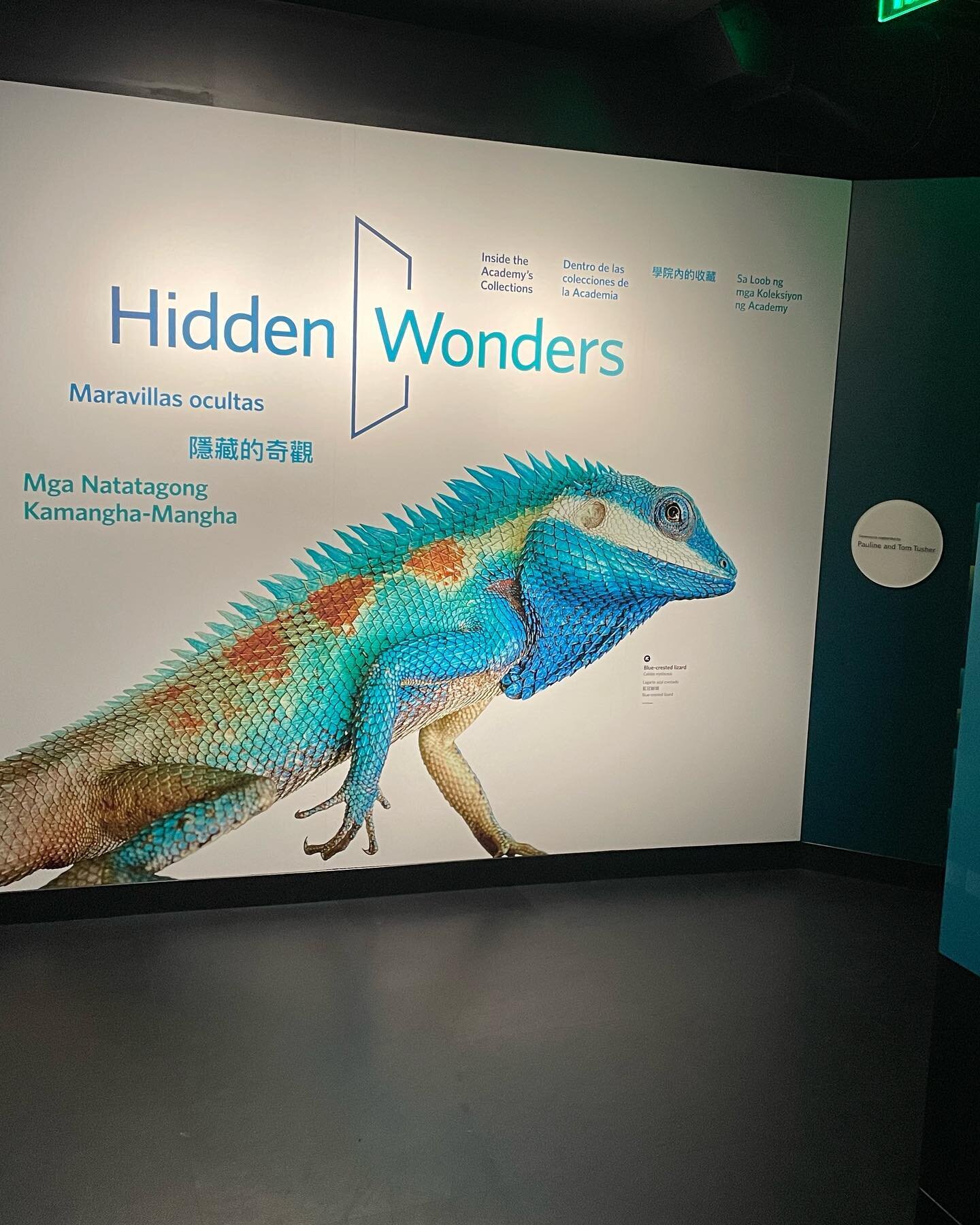 Not one, TWO new exhibits are now open at @calacademy! We again were lucky enough to partner with the graphics team to help bring the artwork to life. Here&rsquo;s a look at some of the work we did  for Hidden Wonders and Bugs. A great way to spend a