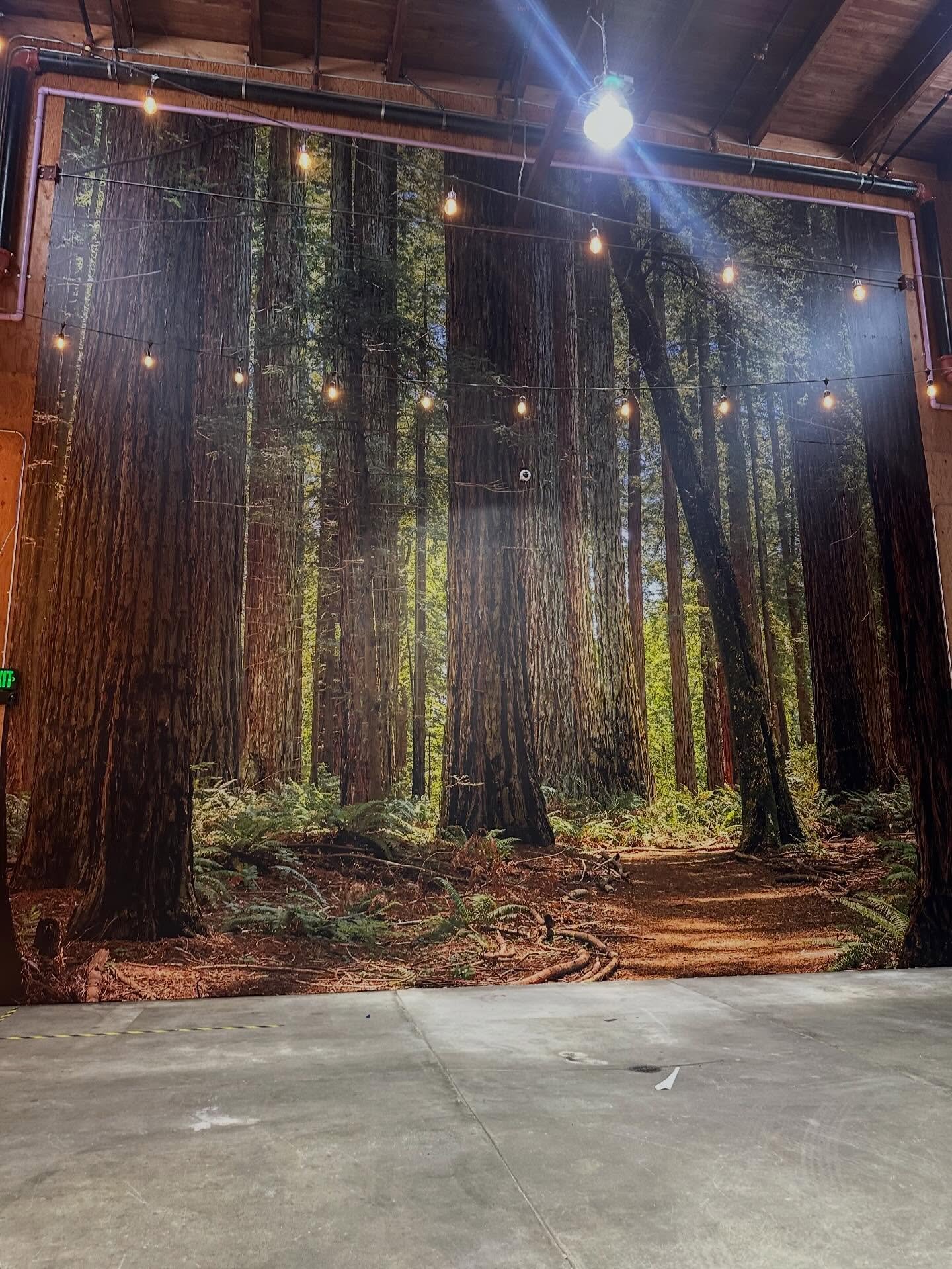 @almanacbeer is ready to host your holiday event! Check out these new murals we installed over the last couple days. Pics do not do them justice. Go see them in Alameda!