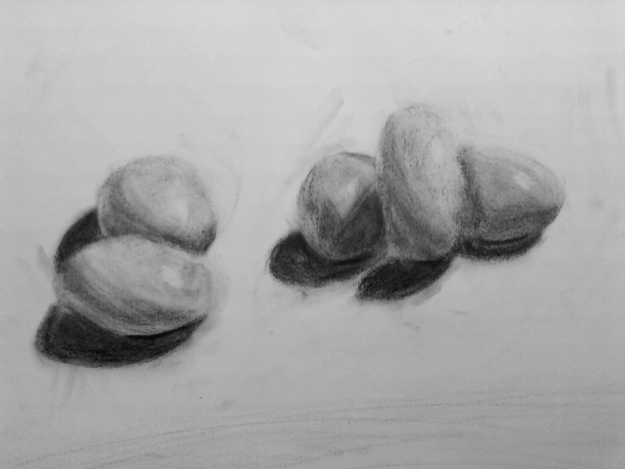 Still Life 2.jpg