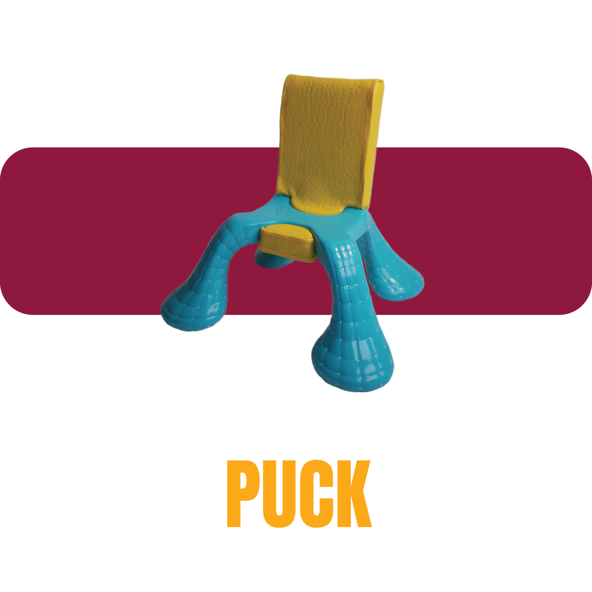 Puck Updated Portfolio Rev18.png