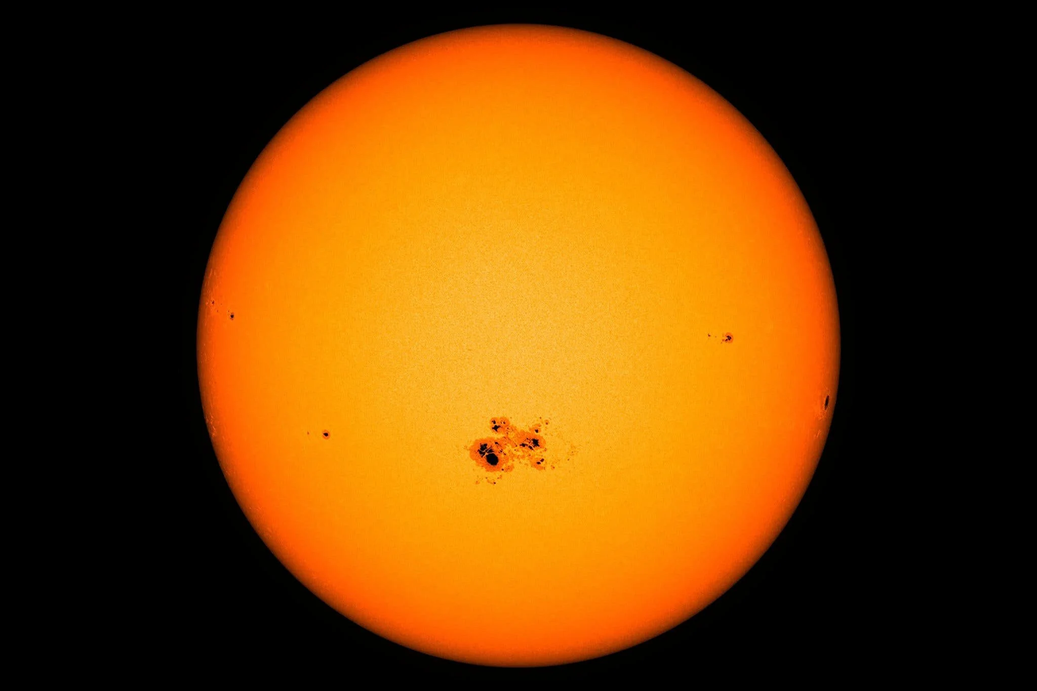 Sunspots and Stranded Whales: A Bizarre Correlation