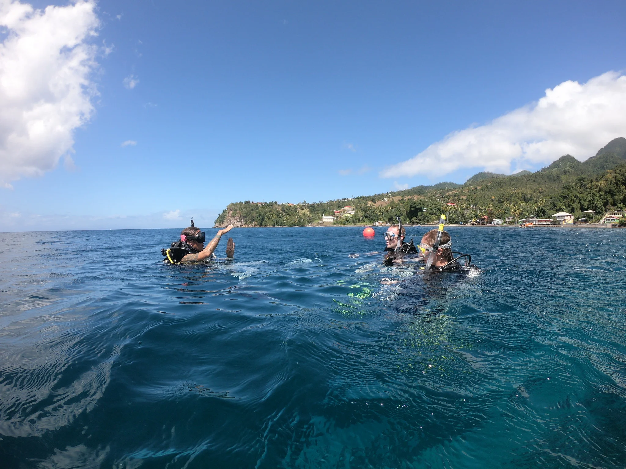 PADI Open Water Scuba Course — SALT Dive
