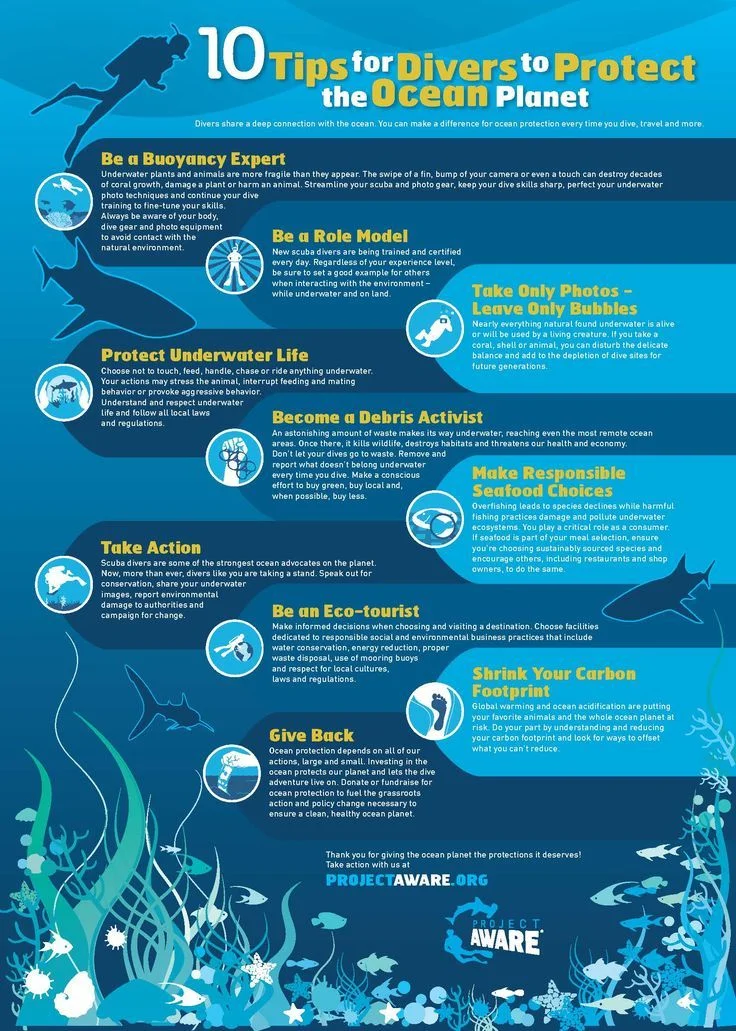 project aware 10 tips for divers to protect the ocean planet salt dominica .jpg