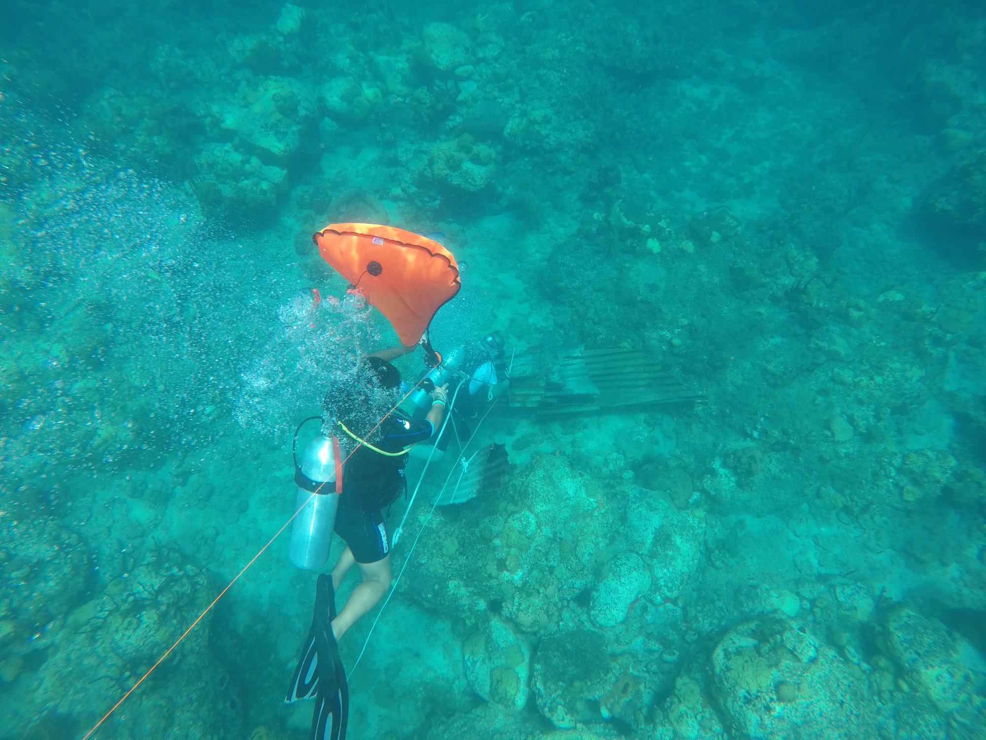dive against debris.jpg