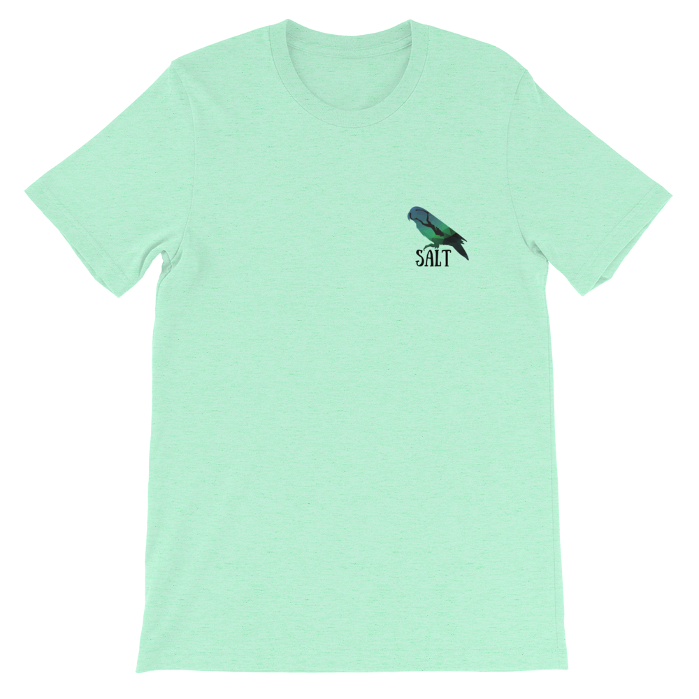 SALT-(20)_SALT-(21)_mockup_Front_Flat_Heather-Mint.png