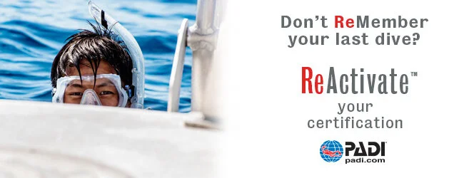 reactivate padi scuba refresher at salt .jpg