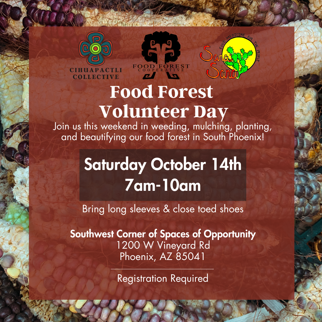 Food Forest Volunteer Day