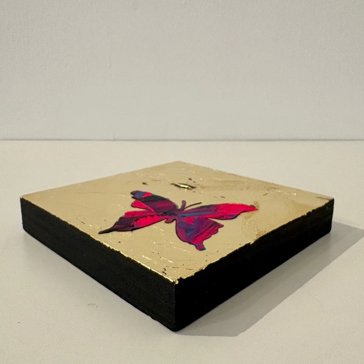 Butterflies 11 (edge).jpg