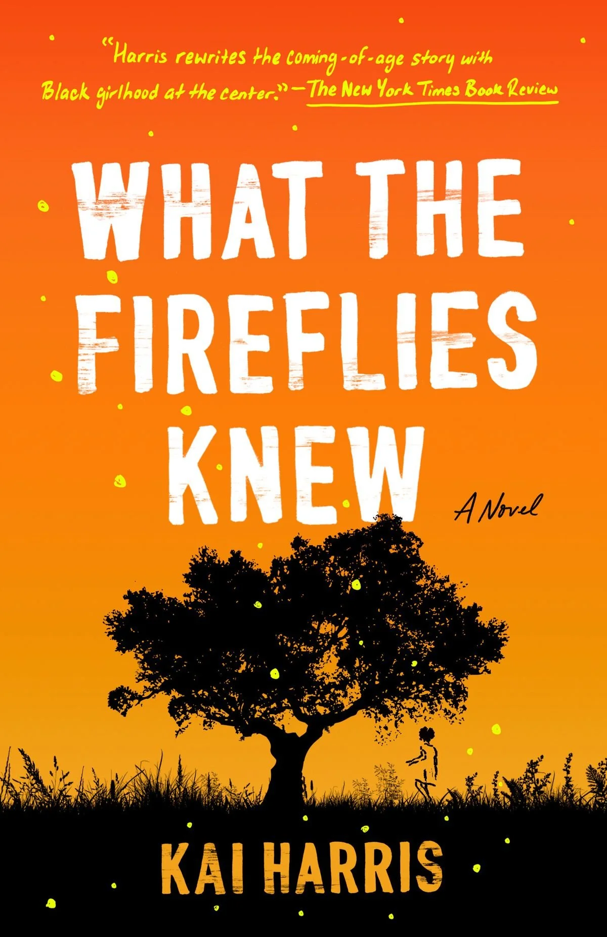 What the Fireflies Knew Book Cover