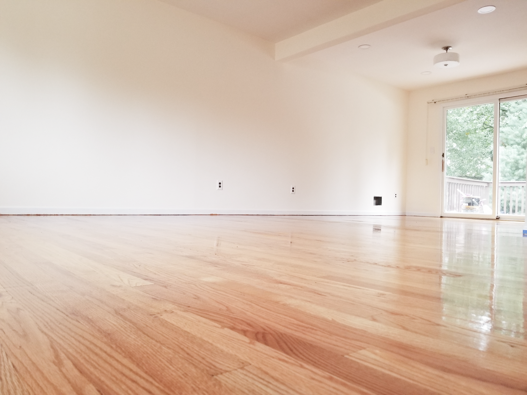 White-room_edit_0001_20190823_163007_resized.png