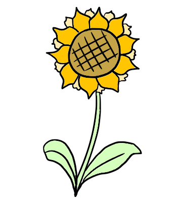 sunflower.png
