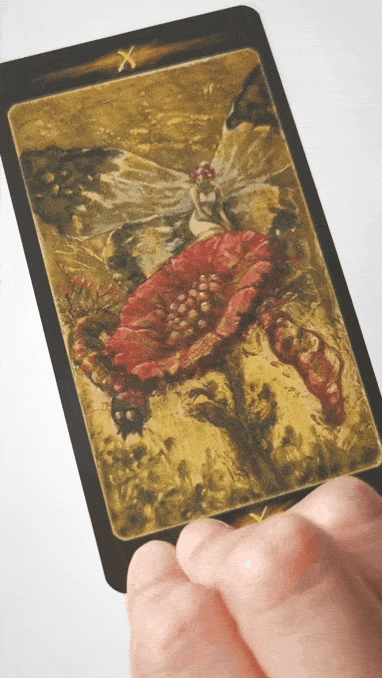 20190516_151204-min.gif