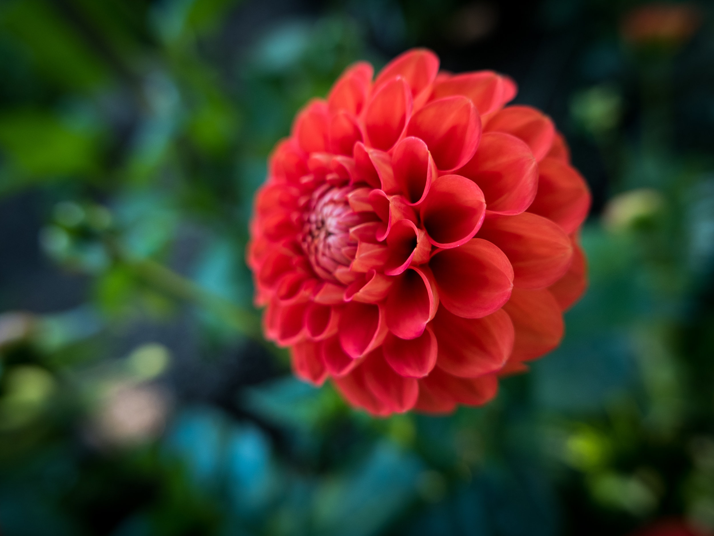 _1060288.jpg