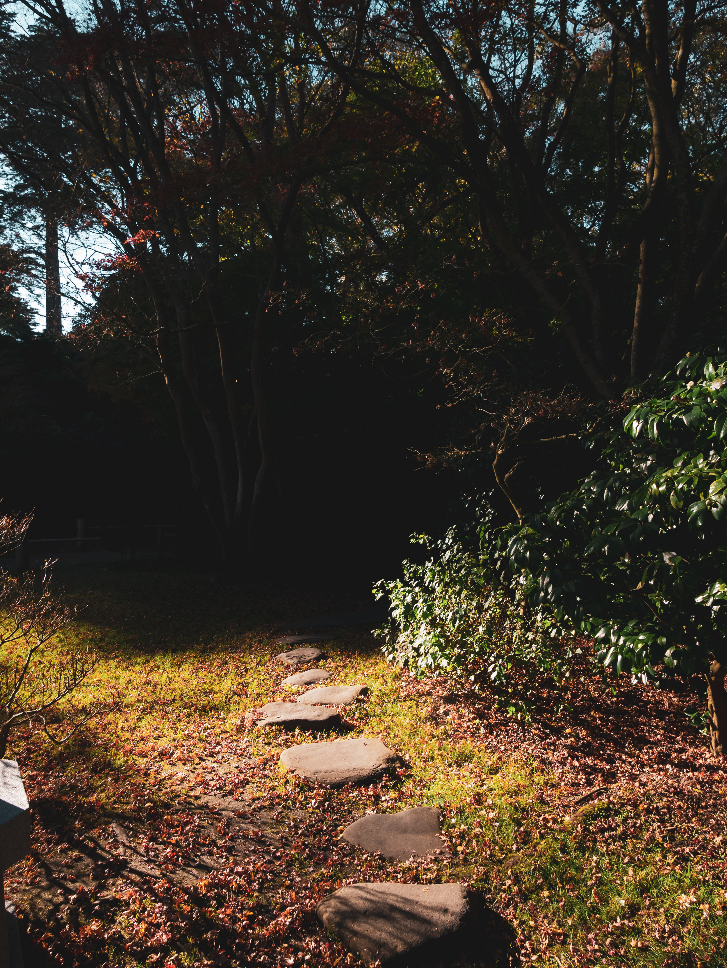 _1070814.jpg