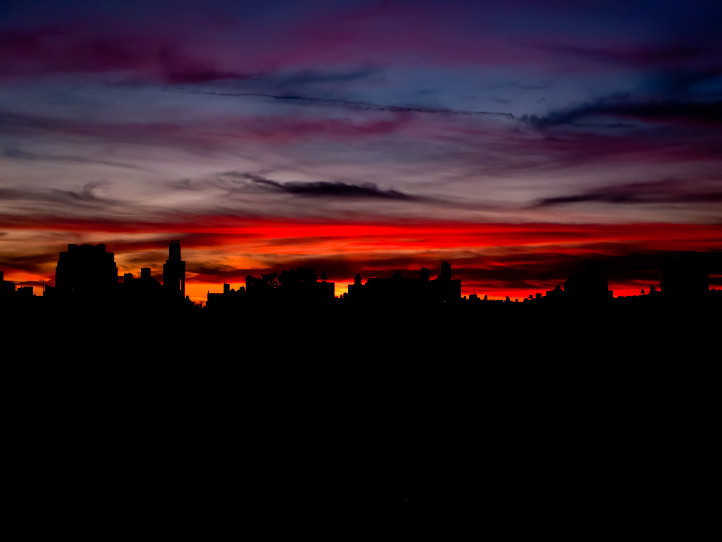 P1020003.jpg