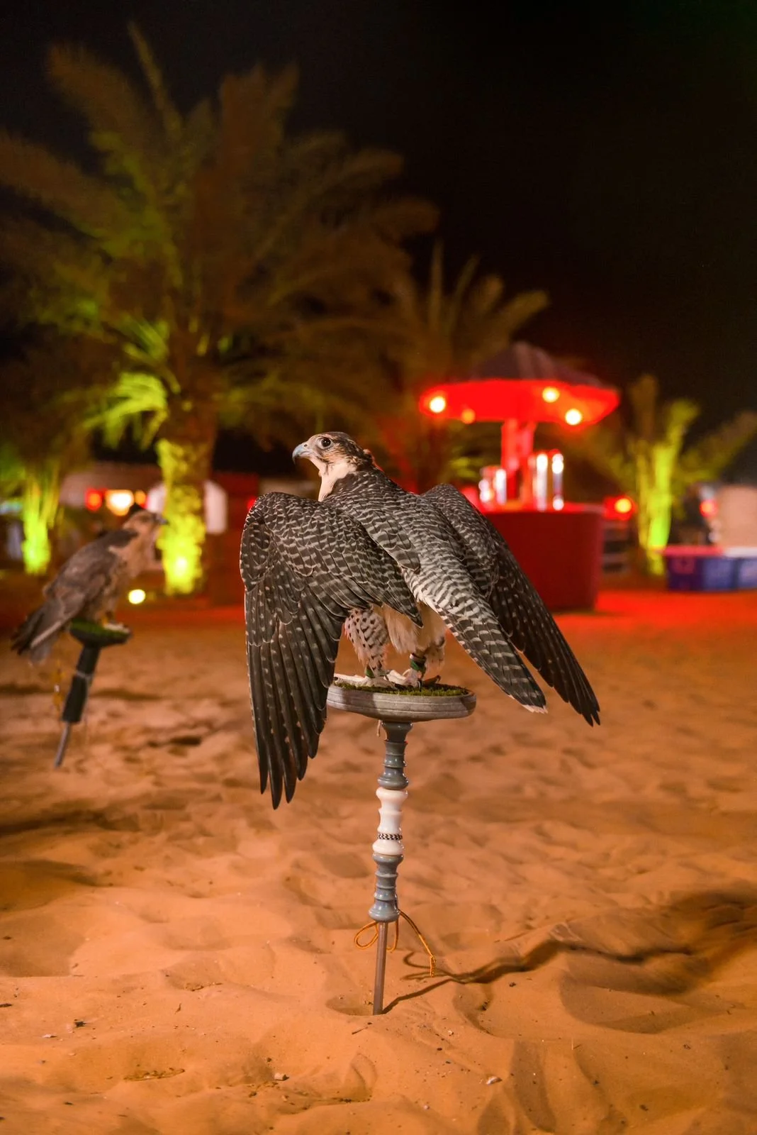 WhatsApp Image 2024-01-30 at 15.40.39 (3).jpeg